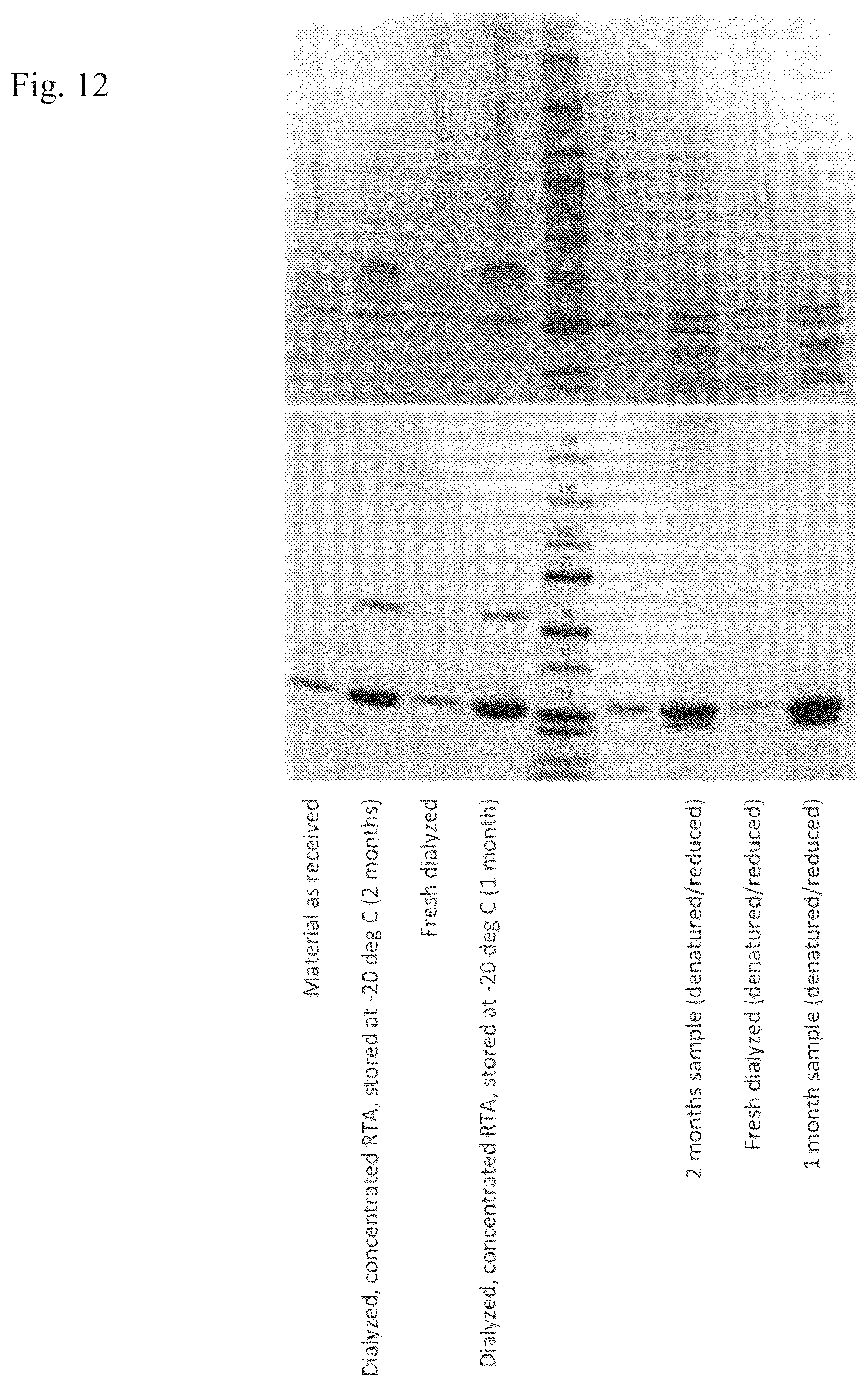 Patent US12097291 Figure 12 – Thermostable vaccine compositions and methods of preparing same