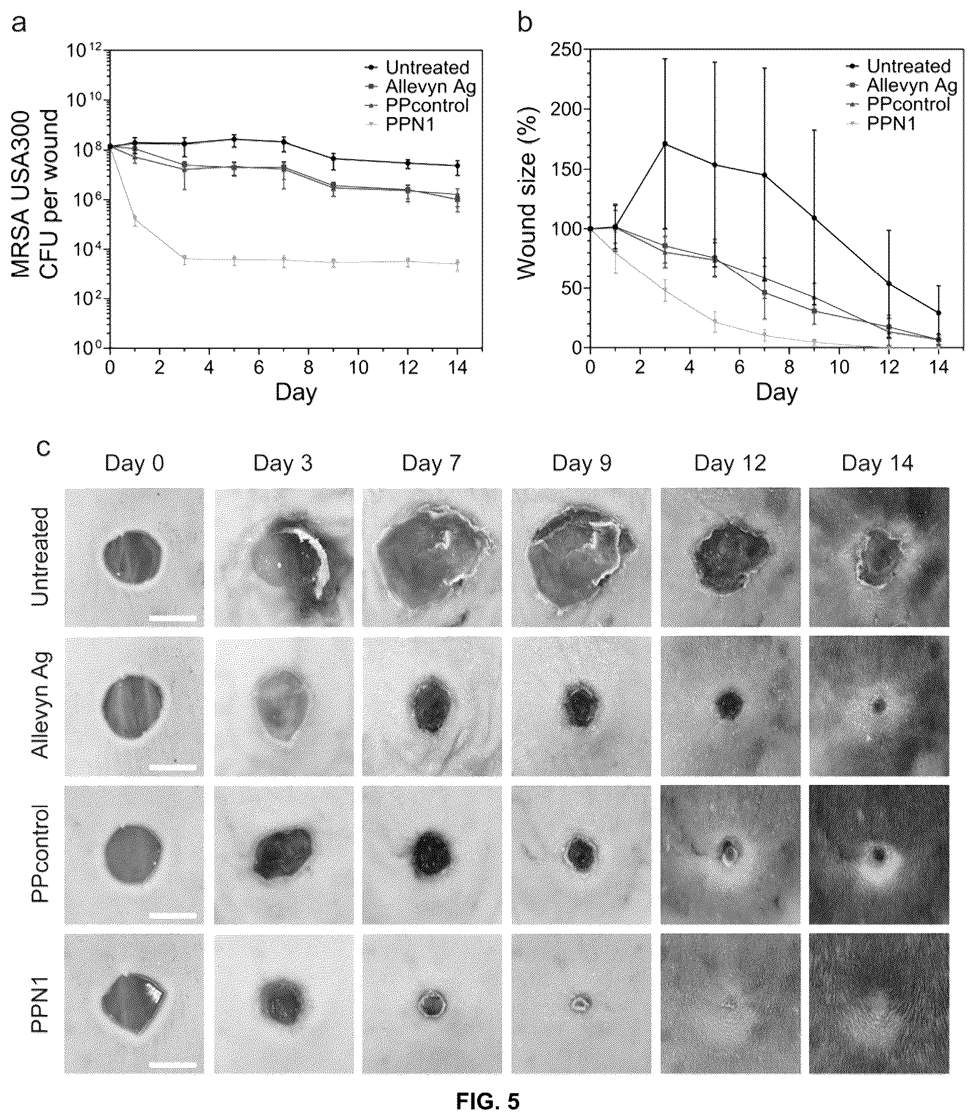 Patent US12097300 Figure 5 – Biofunctional hydrogel for wound healing