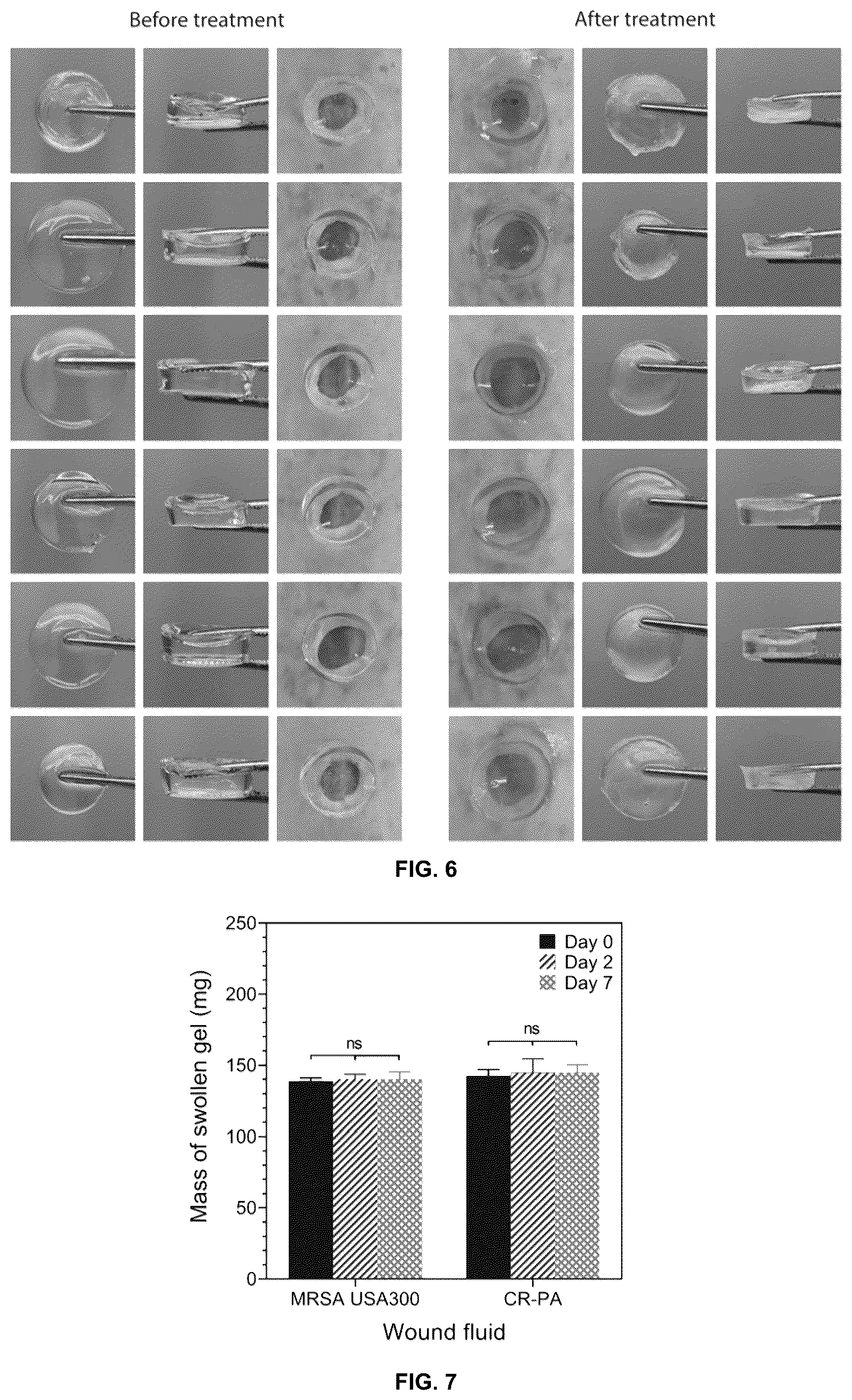 Patent US12097300 Figure 6 – Biofunctional hydrogel for wound healing