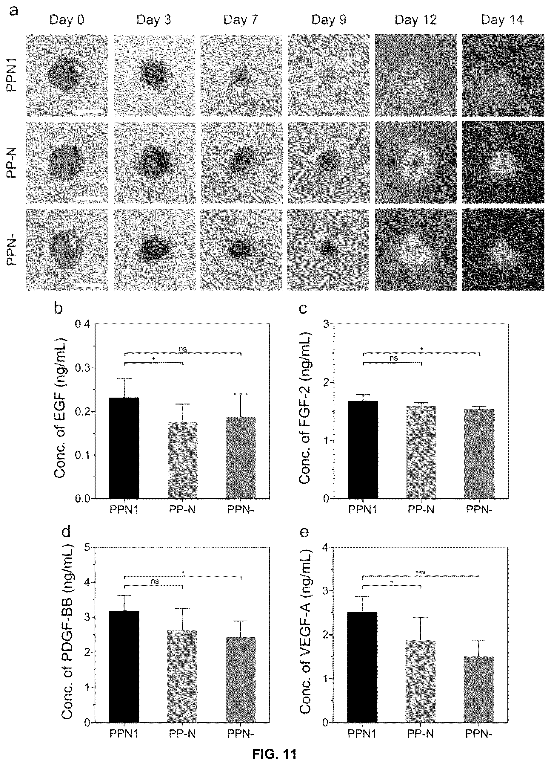 Patent US12097300 Figure 13 – Biofunctional hydrogel for wound healing