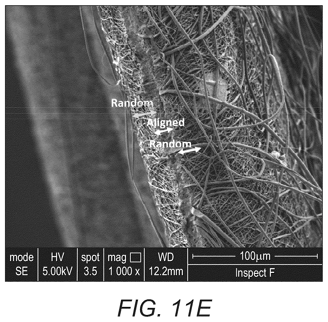 Patent US12097301 Figure 17 – Scaffold