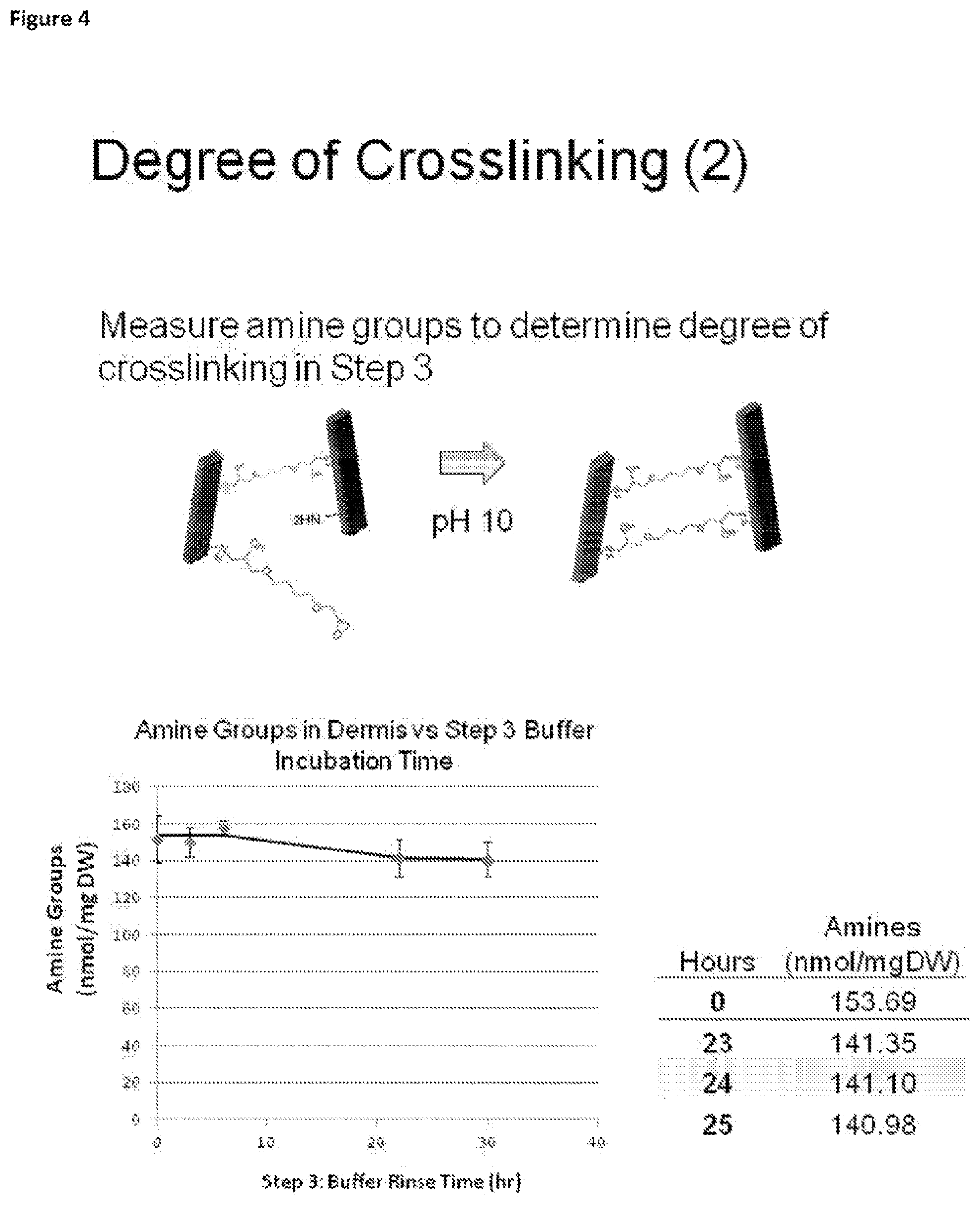 Patent US12097305 Figure 4 – Crosslinked soft tissue graft and methods of use thereof