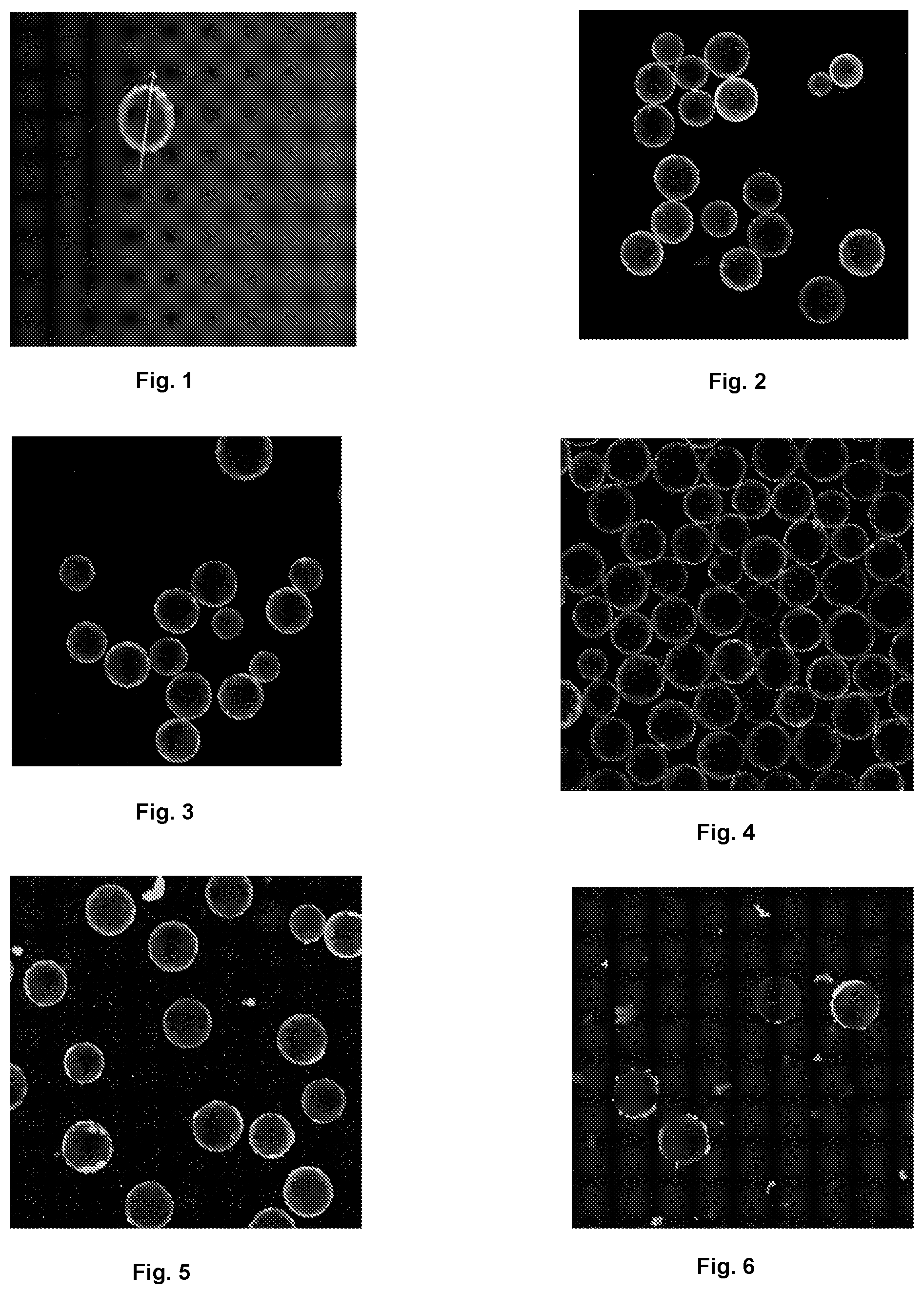Patent US12097306 Figure 1 – Conformal coating of biological surfaces