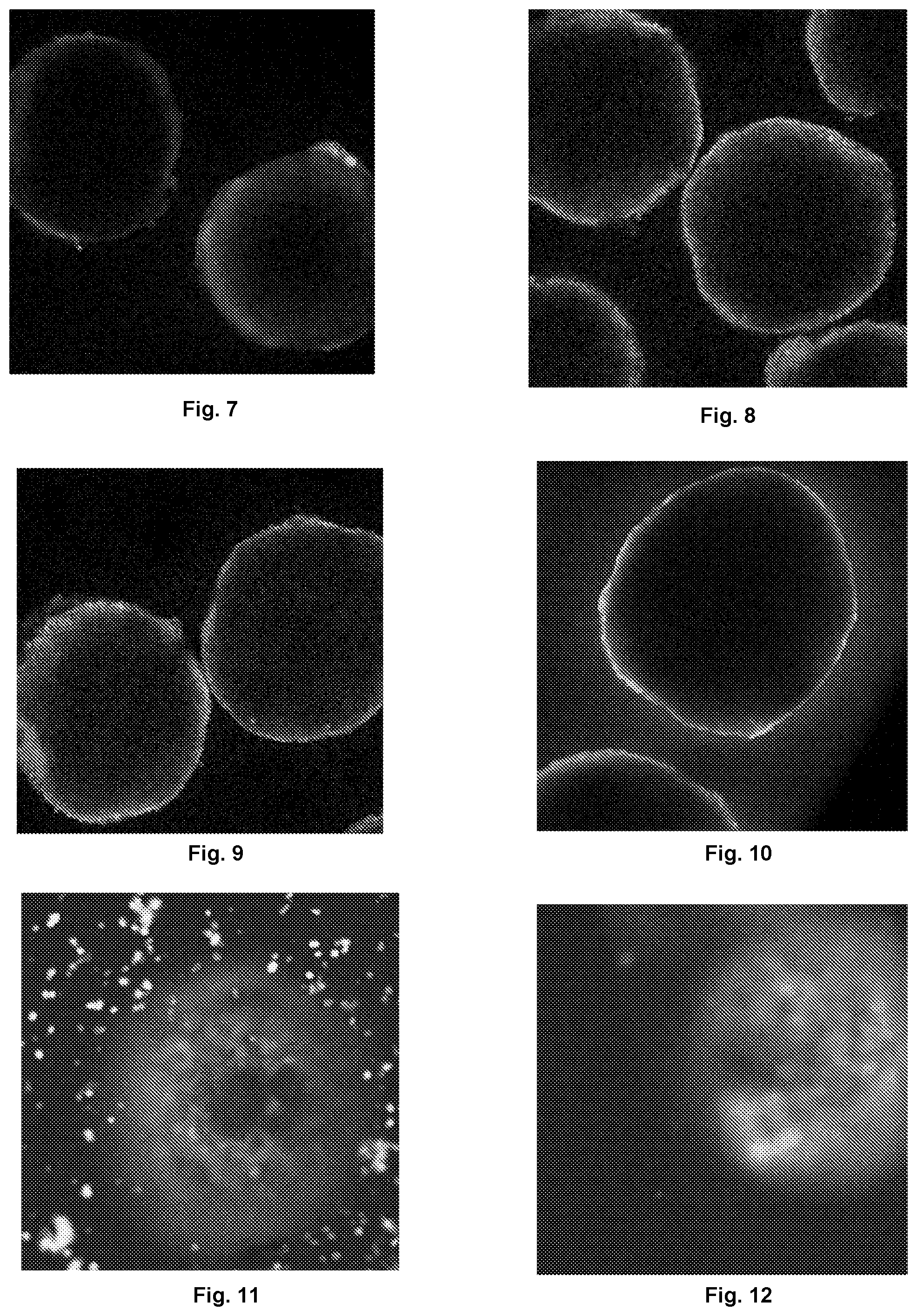 Patent US12097306 Figure 2 – Conformal coating of biological surfaces