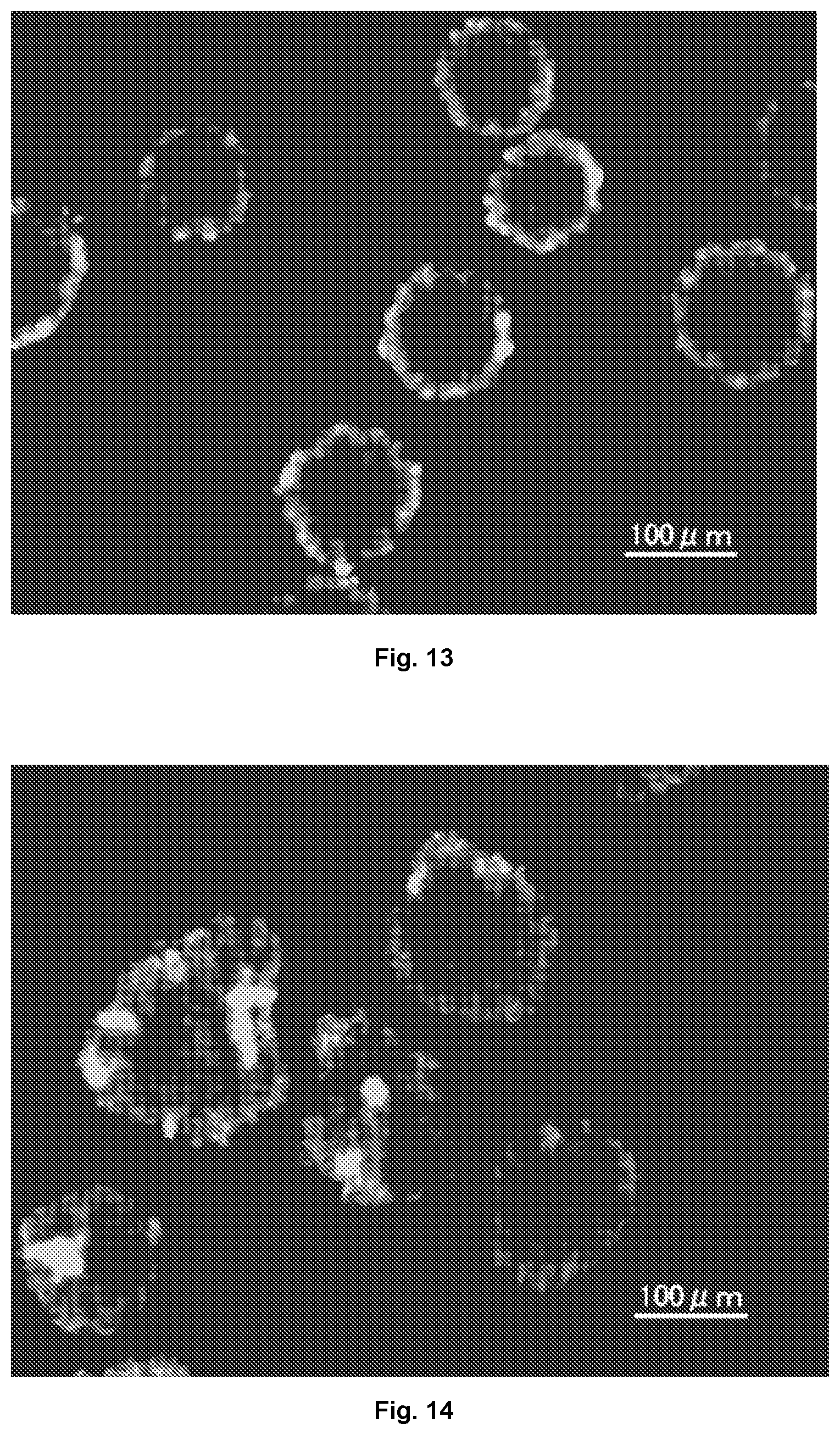 Patent US12097306 Figure 3 – Conformal coating of biological surfaces