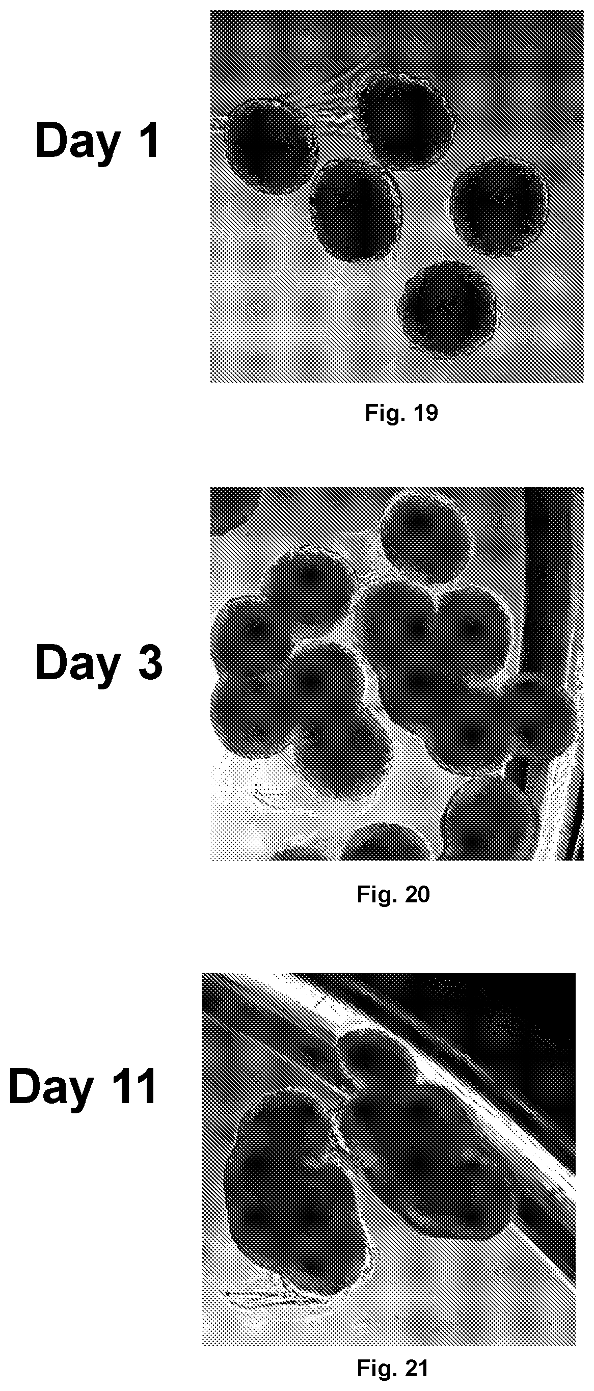 Patent US12097306 Figure 8 – Conformal coating of biological surfaces
