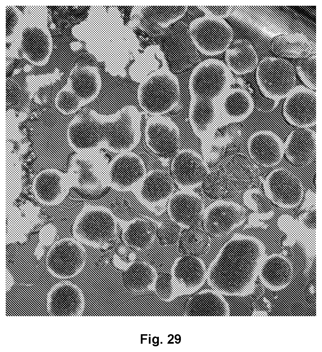 Patent US12097306 Figure 11 – Conformal coating of biological surfaces