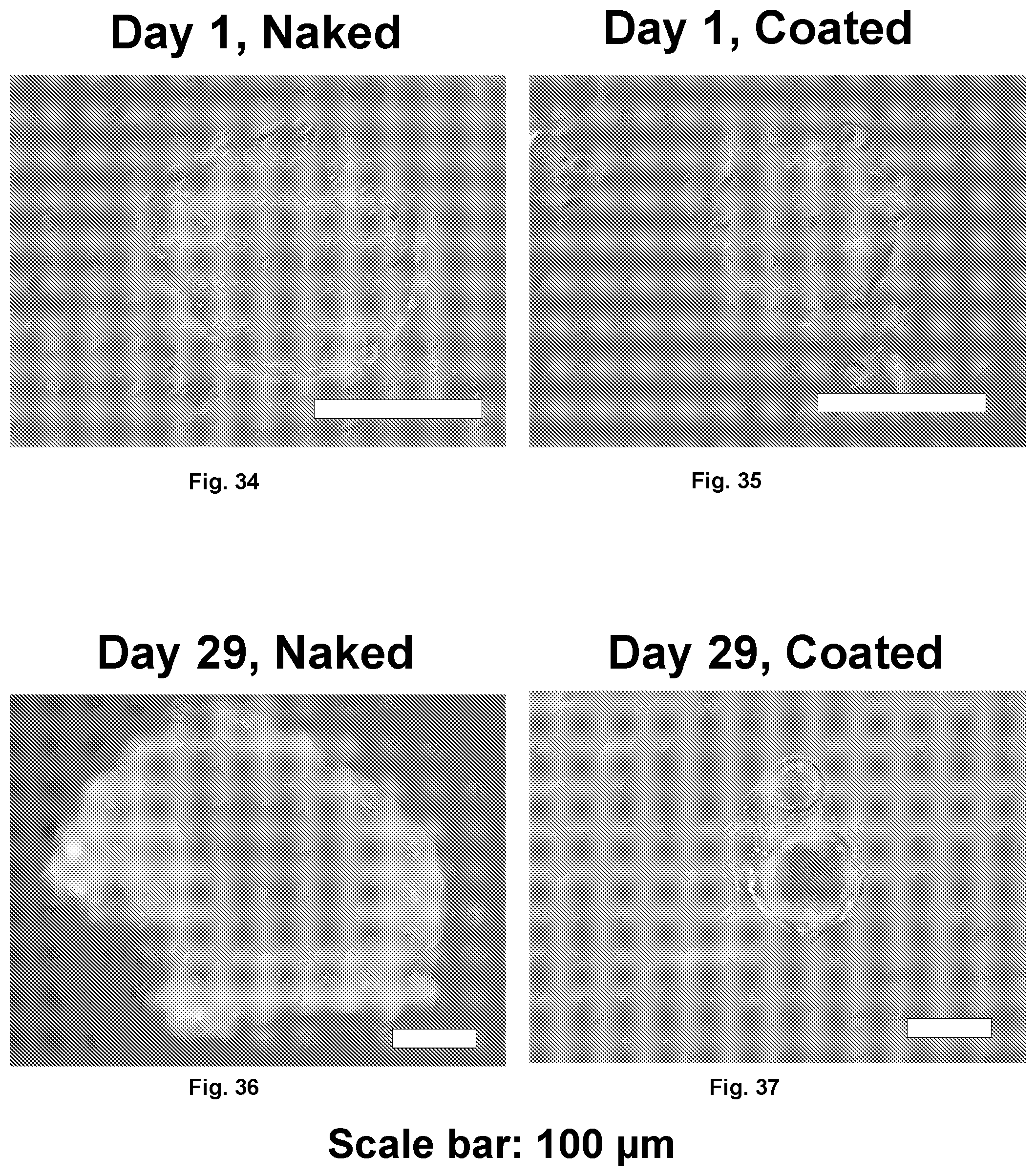 Patent US12097306 Figure 13 – Conformal coating of biological surfaces