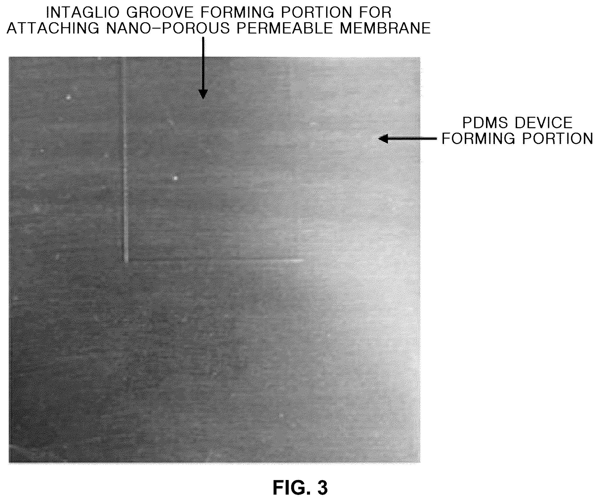 Patent US12097308 Figure 3 – Bio-electrode for measuring bio-signal and producing electrical activity based on nano-porous permeable membrane having high specific surface area and method of manufacturing the same