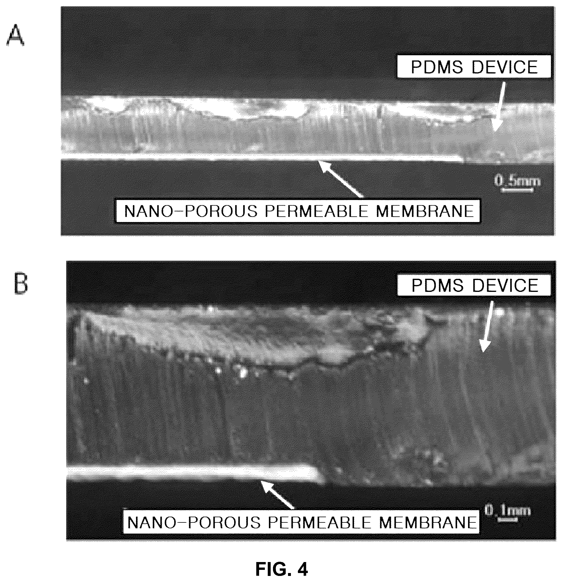 Patent US12097308 Figure 4 – Bio-electrode for measuring bio-signal and producing electrical activity based on nano-porous permeable membrane having high specific surface area and method of manufacturing the same