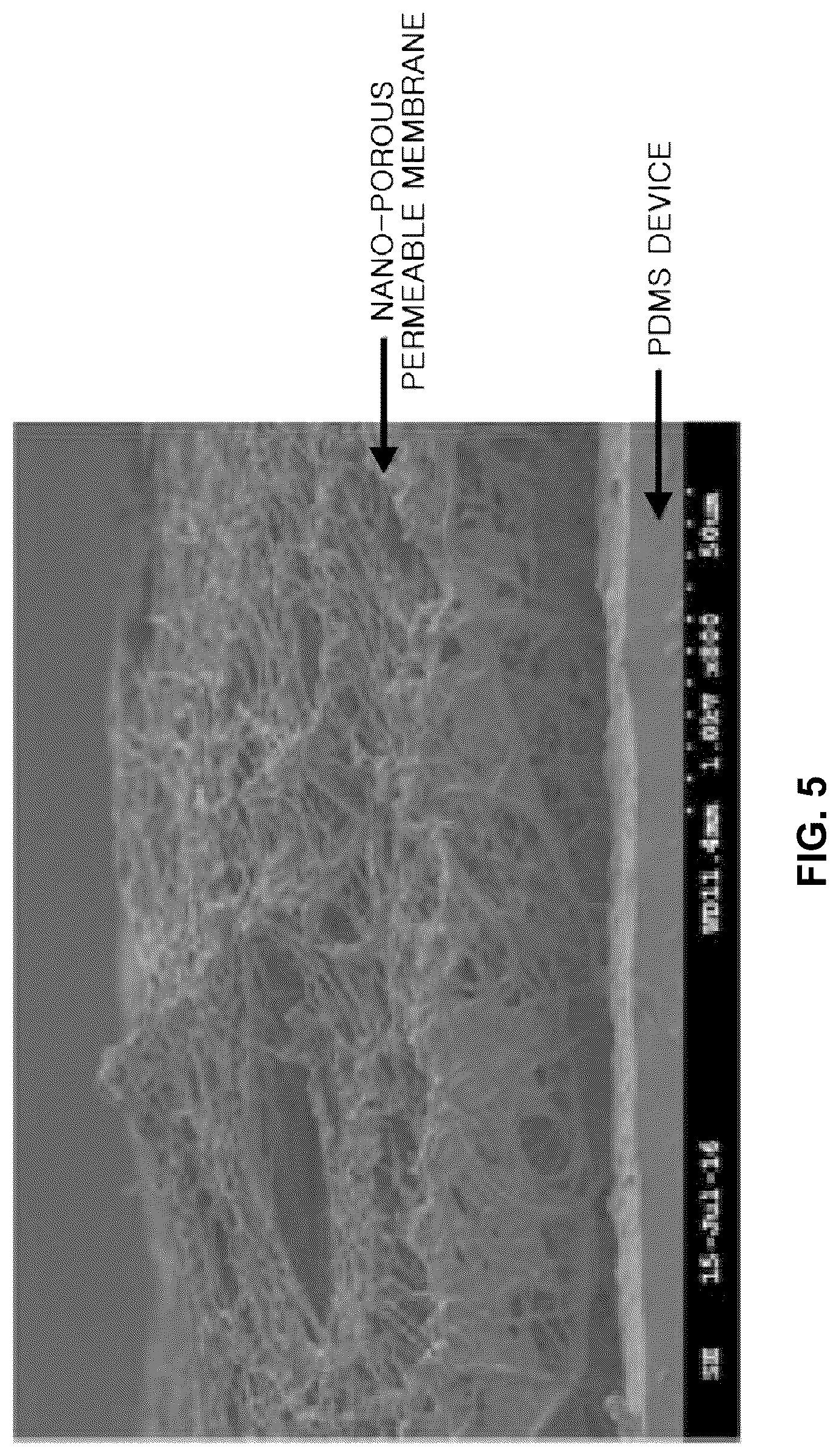 Patent US12097308 Figure 5 – Bio-electrode for measuring bio-signal and producing electrical activity based on nano-porous permeable membrane having high specific surface area and method of manufacturing the same