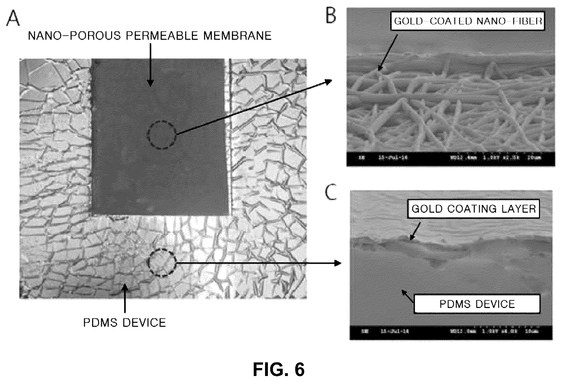 Patent US12097308 Figure 6 – Bio-electrode for measuring bio-signal and producing electrical activity based on nano-porous permeable membrane having high specific surface area and method of manufacturing the same