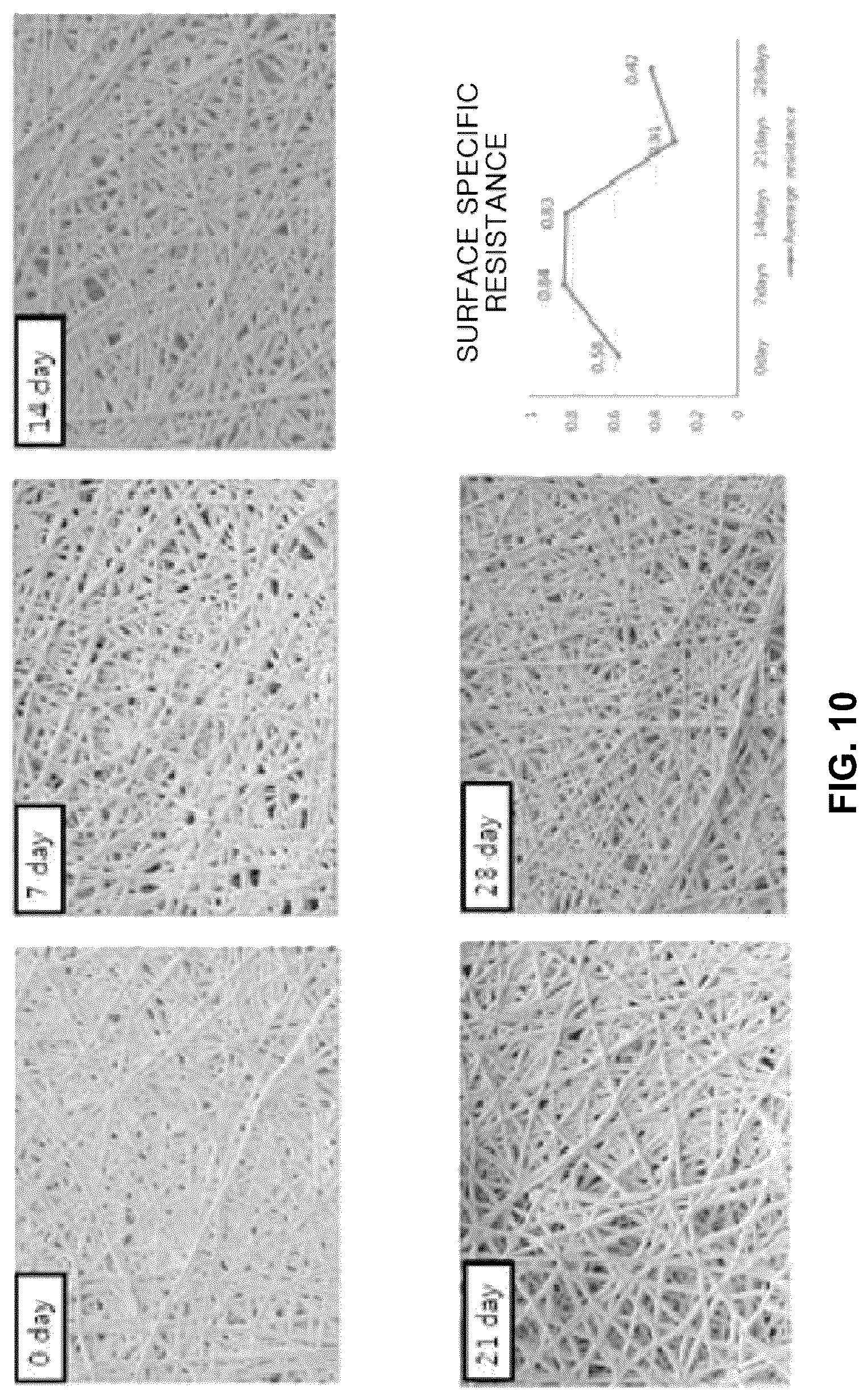 Patent US12097308 Figure 10 – Bio-electrode for measuring bio-signal and producing electrical activity based on nano-porous permeable membrane having high specific surface area and method of manufacturing the same