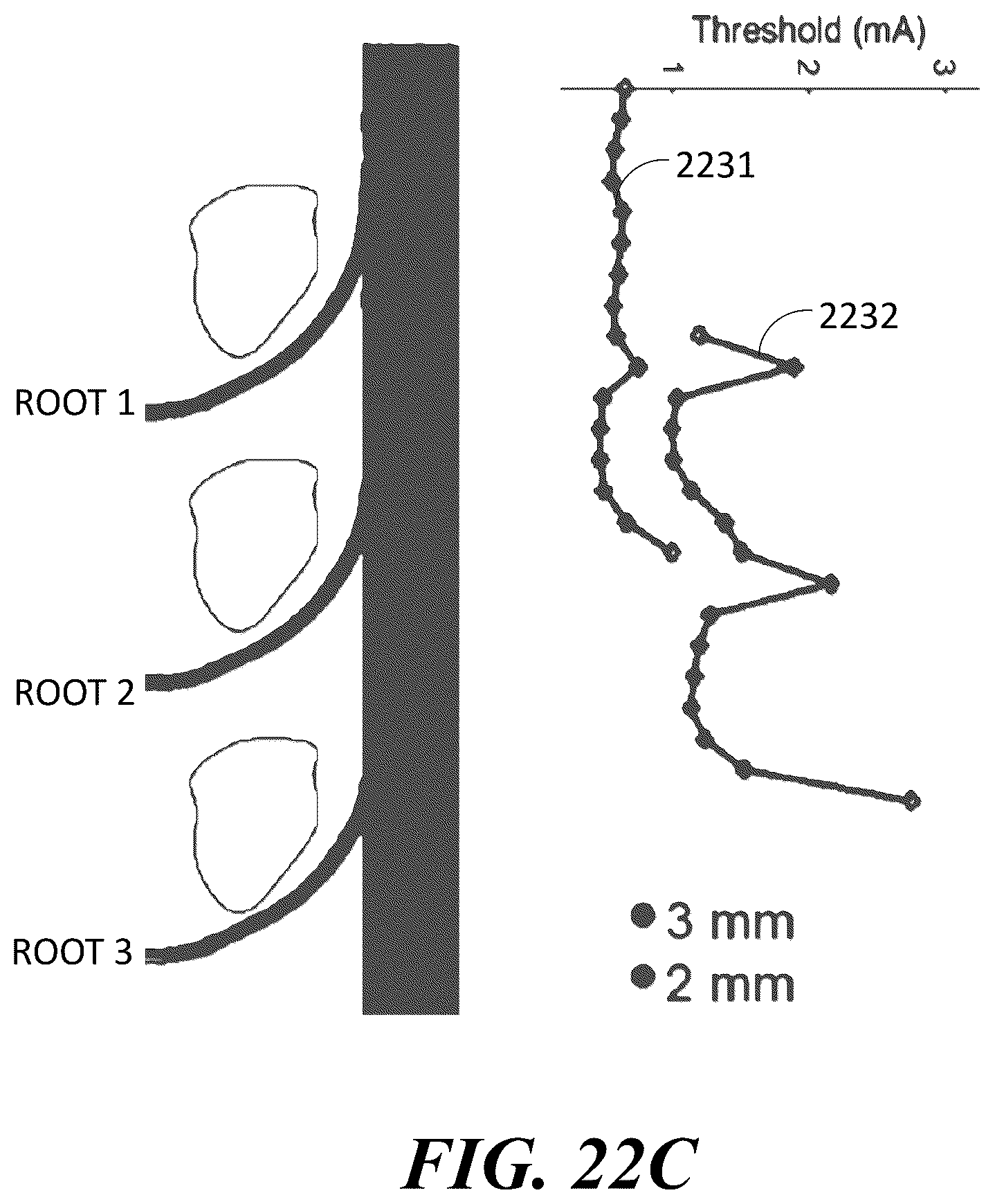 Patent US12097372 Figure 19 – Targeted electrostimulation fields based on focal dermatomal coverage