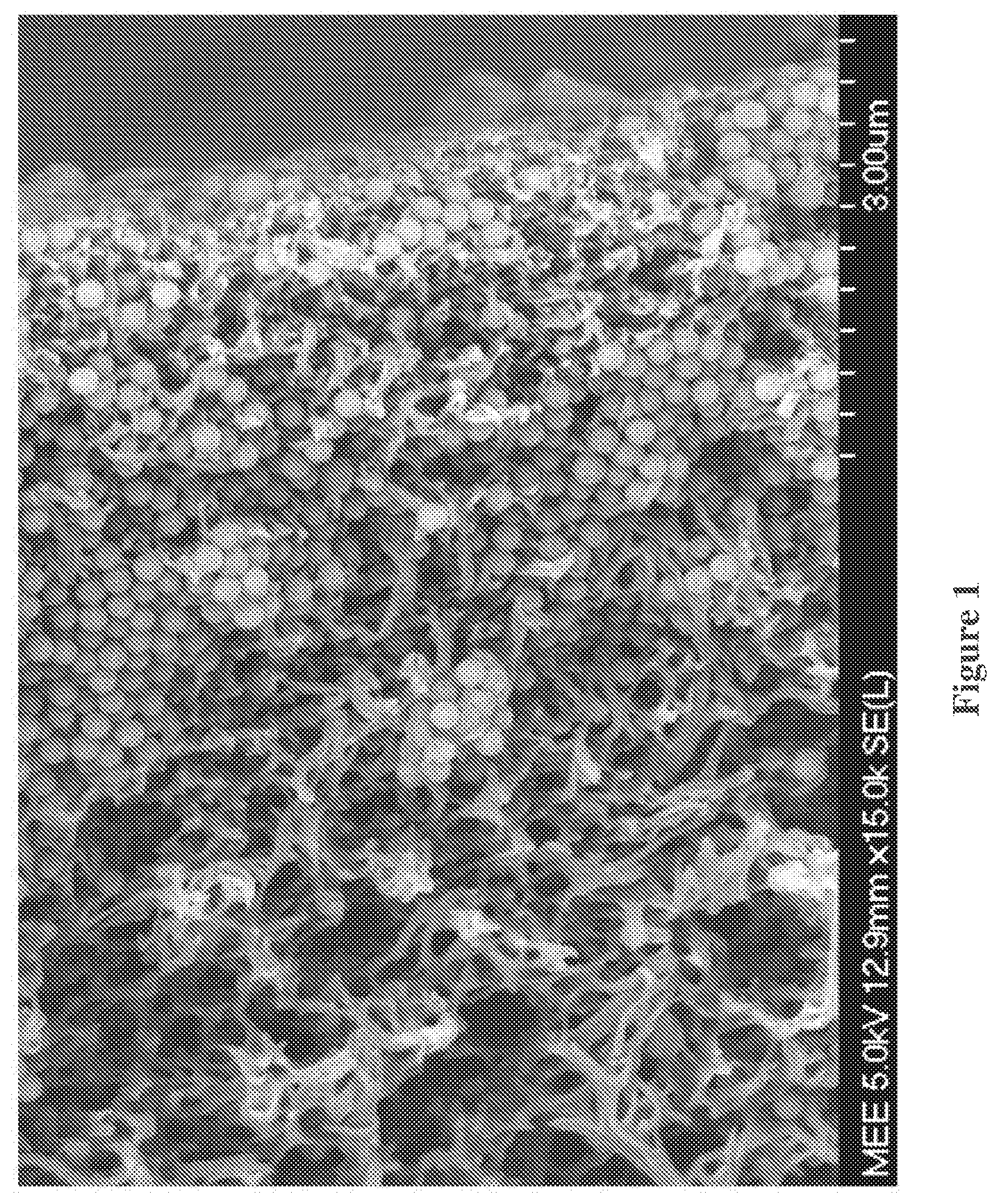 Patent US12097471 Figure 1 – Nanoparticles for use in membranes
