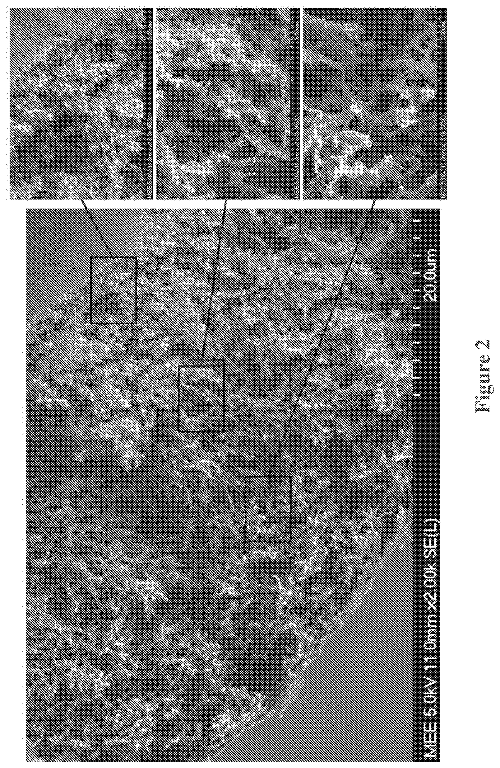Patent US12097471 Figure 2 – Nanoparticles for use in membranes