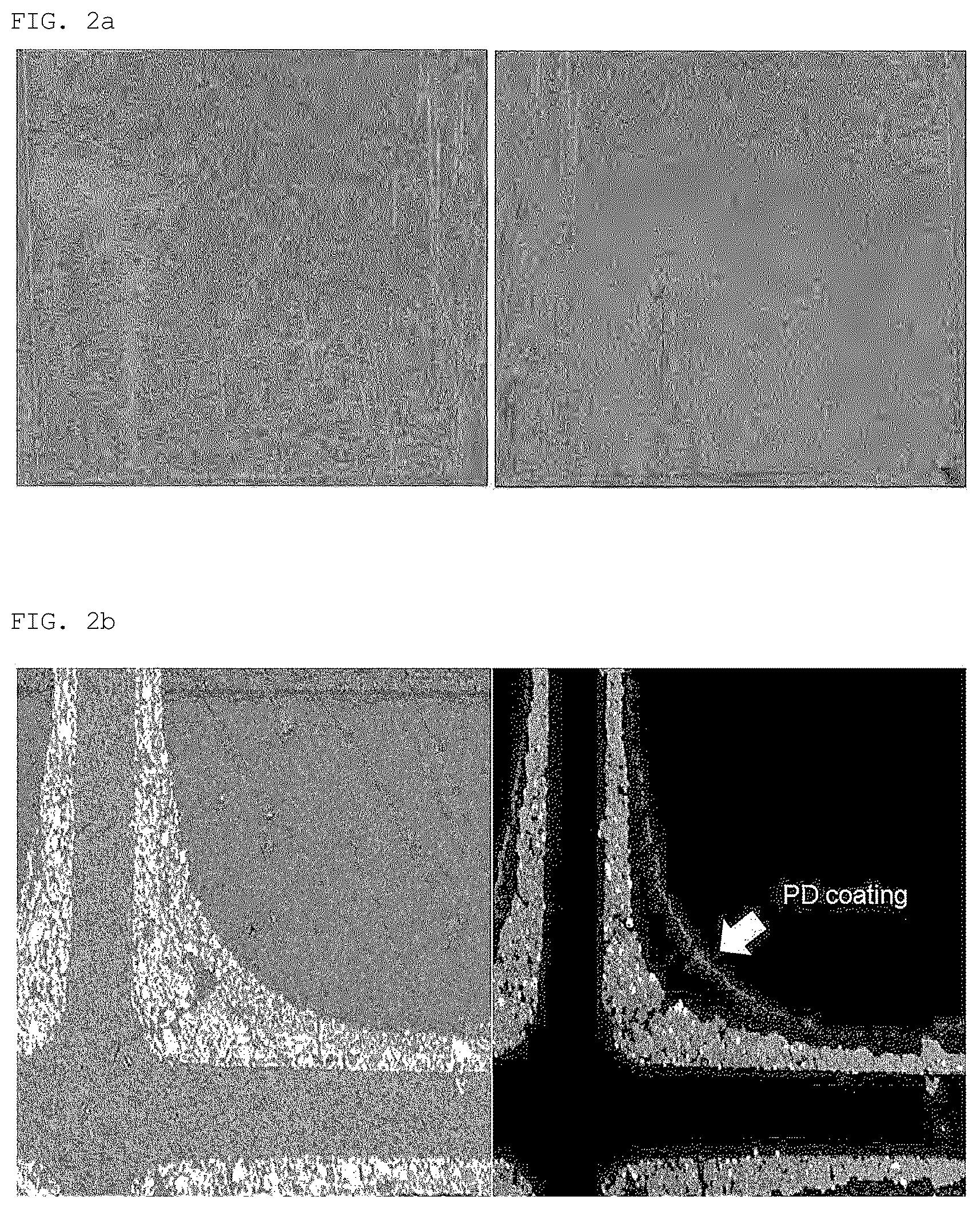 Patent US12097483 Figure 2 – Exhaust gas-purification catalyst having multi-layer structure including precious metal thin layer as top layer, and method for producing same