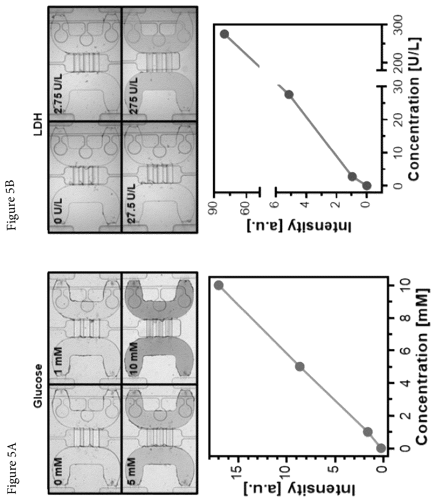 Patent US12097494 Figure 5 – Methods, devices, and systems for detecting two or more analytes within small volumes