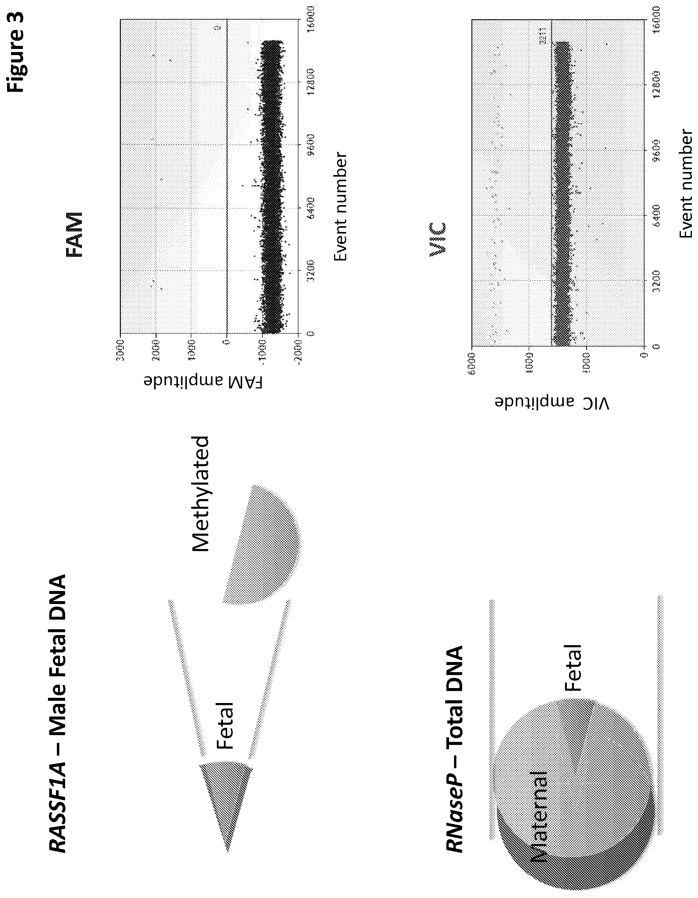 Patent US12097495 Figure 3 – Methods and compositions for detecting genetic material