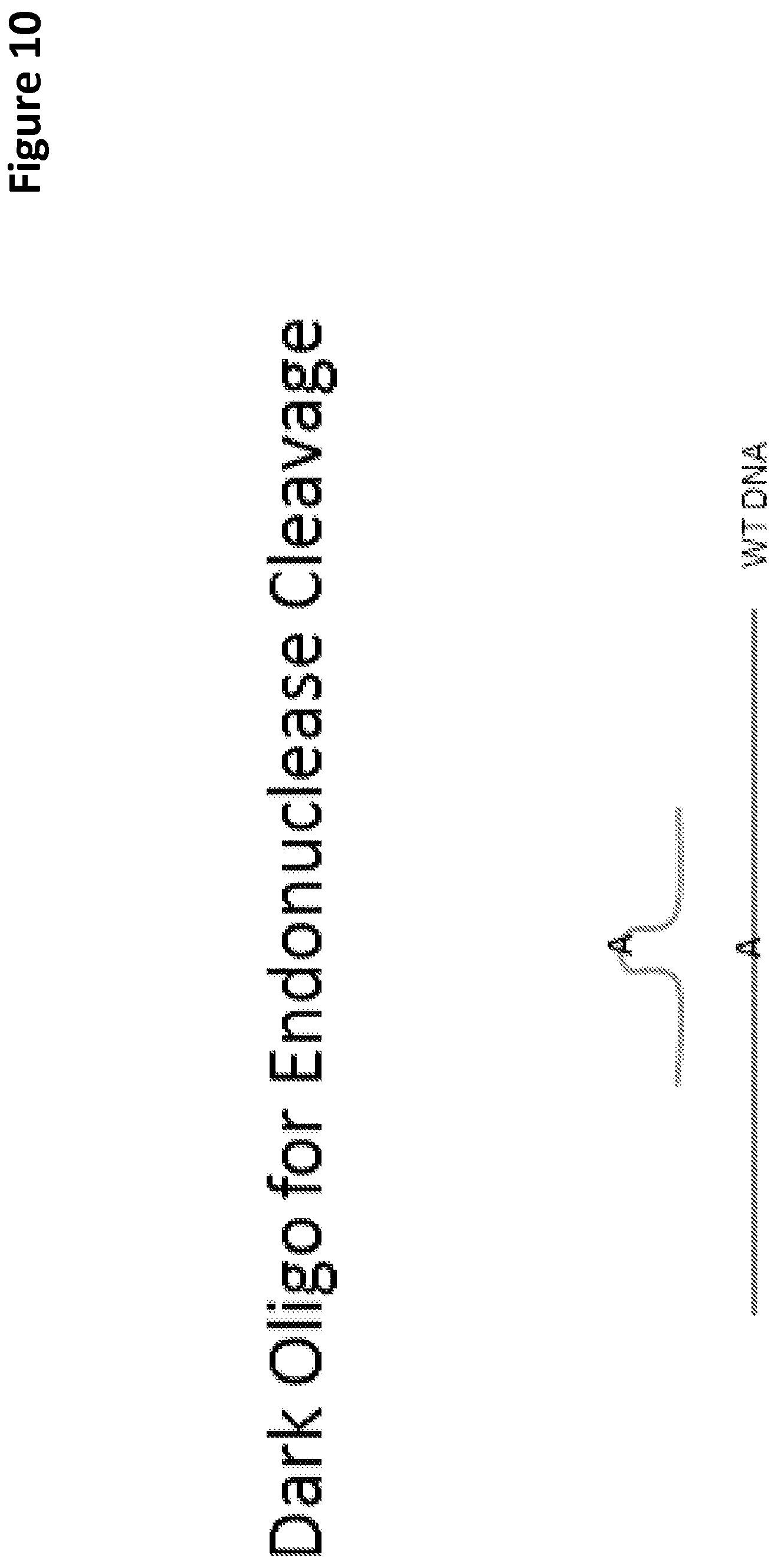 Patent US12097495 Figure 10 – Methods and compositions for detecting genetic material
