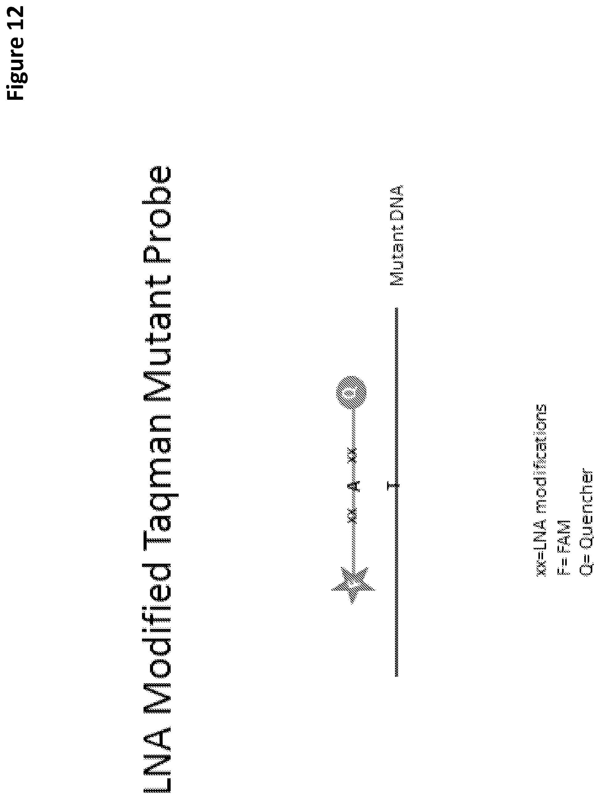 Patent US12097495 Figure 12 – Methods and compositions for detecting genetic material