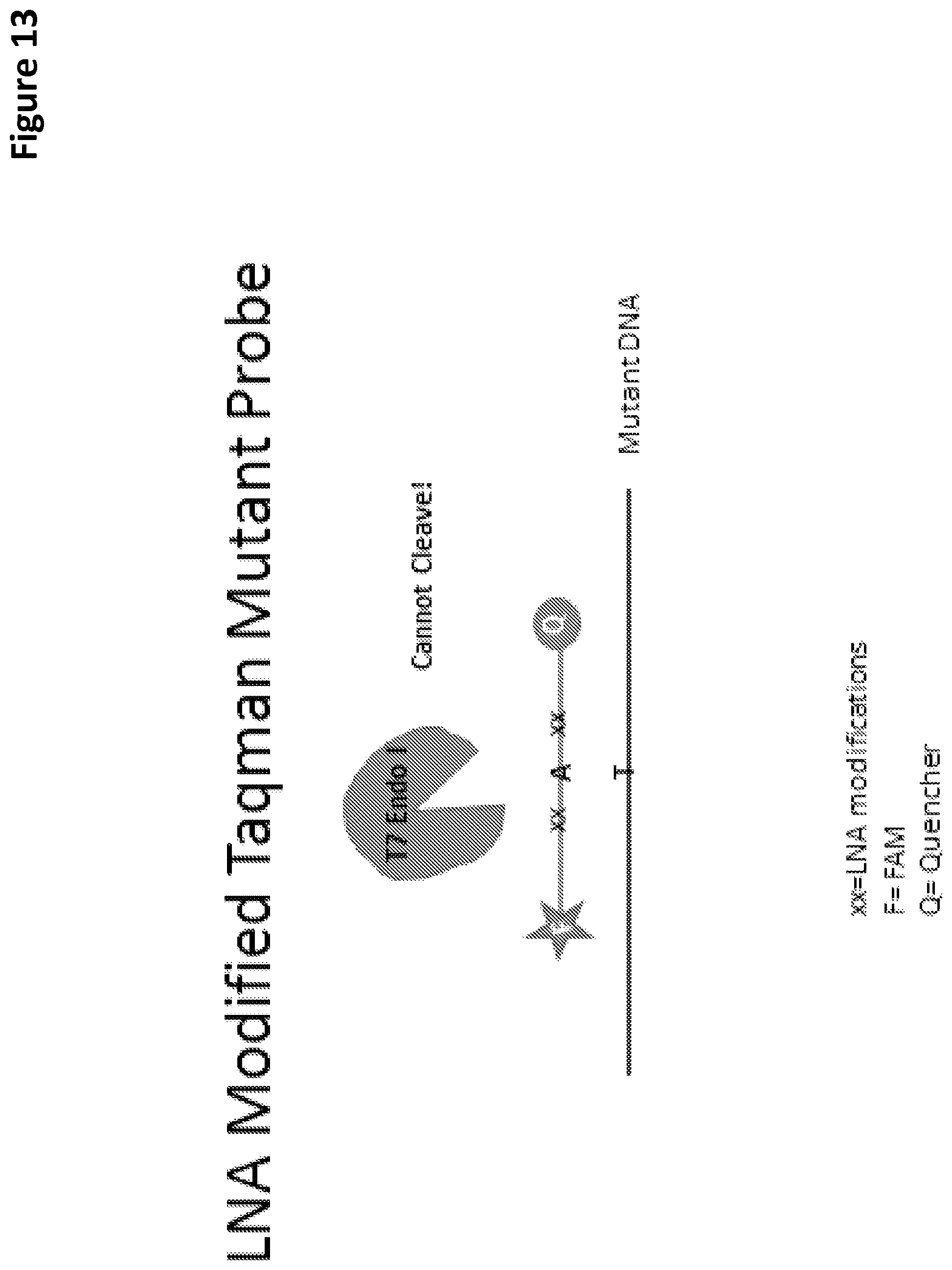 Patent US12097495 Figure 13 – Methods and compositions for detecting genetic material