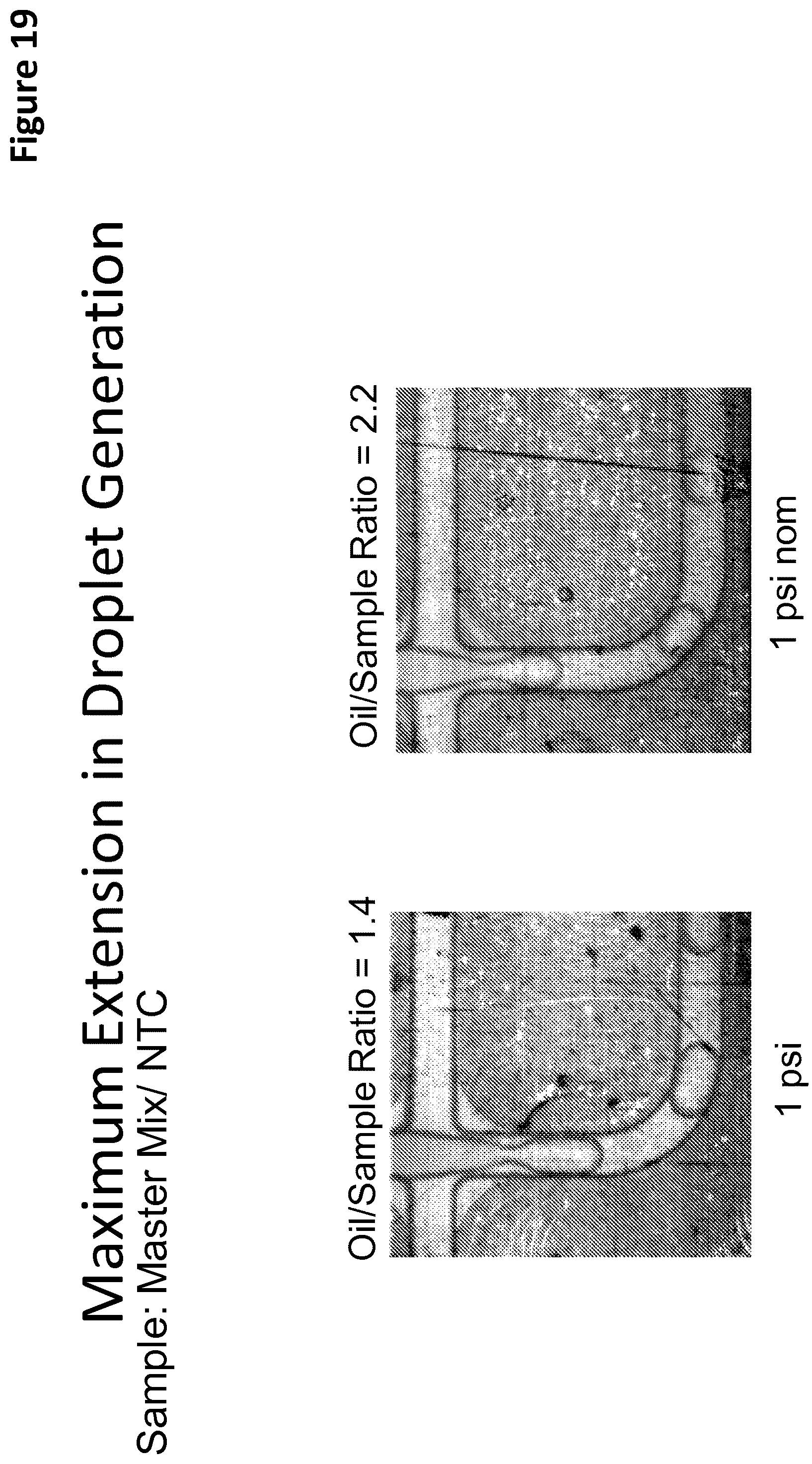 Patent US12097495 Figure 19 – Methods and compositions for detecting genetic material