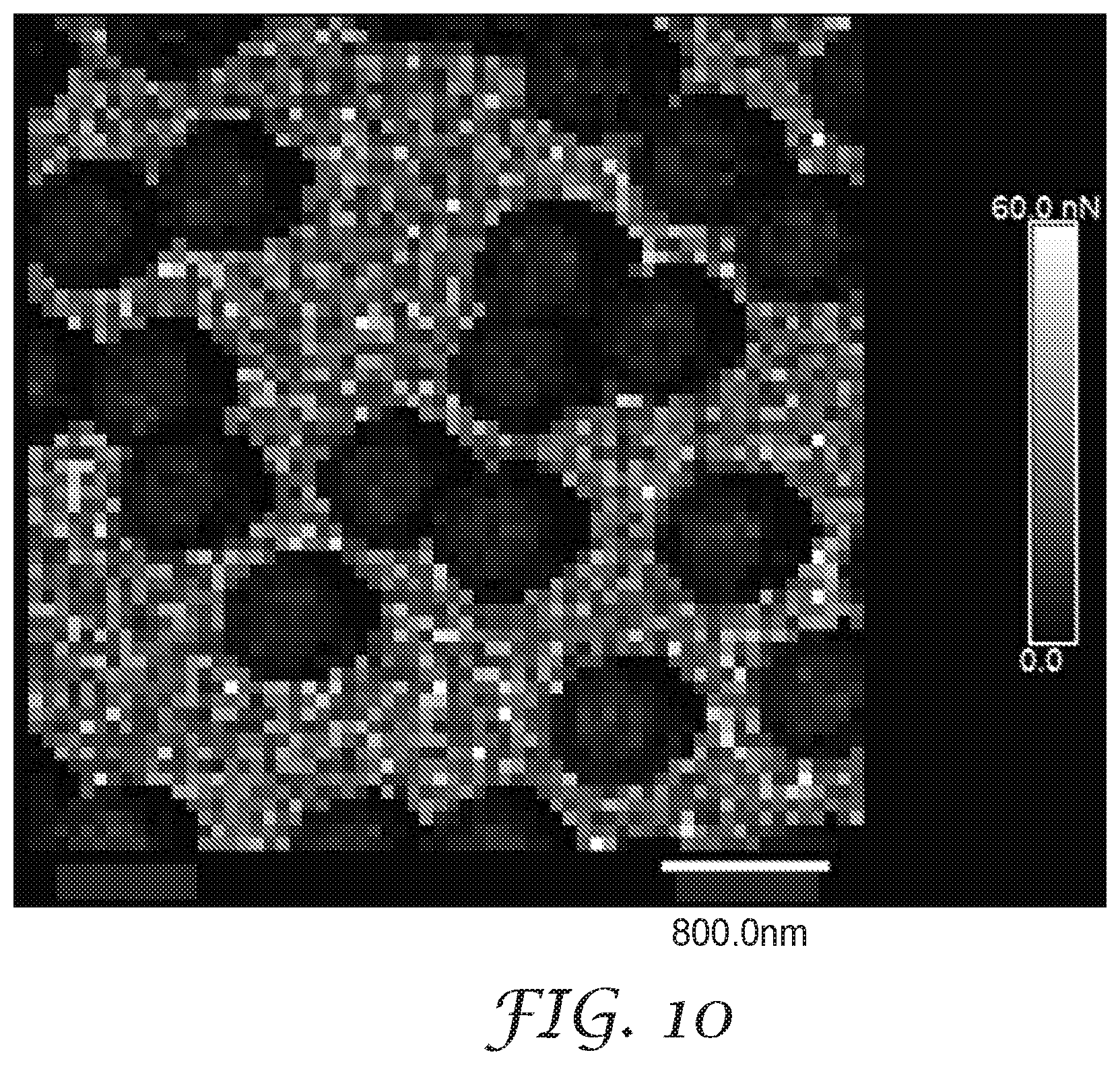 Patent US12097498 Figure 10 – Nanopatterned films with patterned surface chemistry