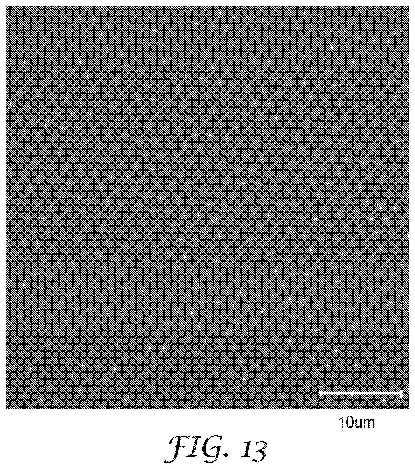 Patent US12097498 Figure 13 – Nanopatterned films with patterned surface chemistry