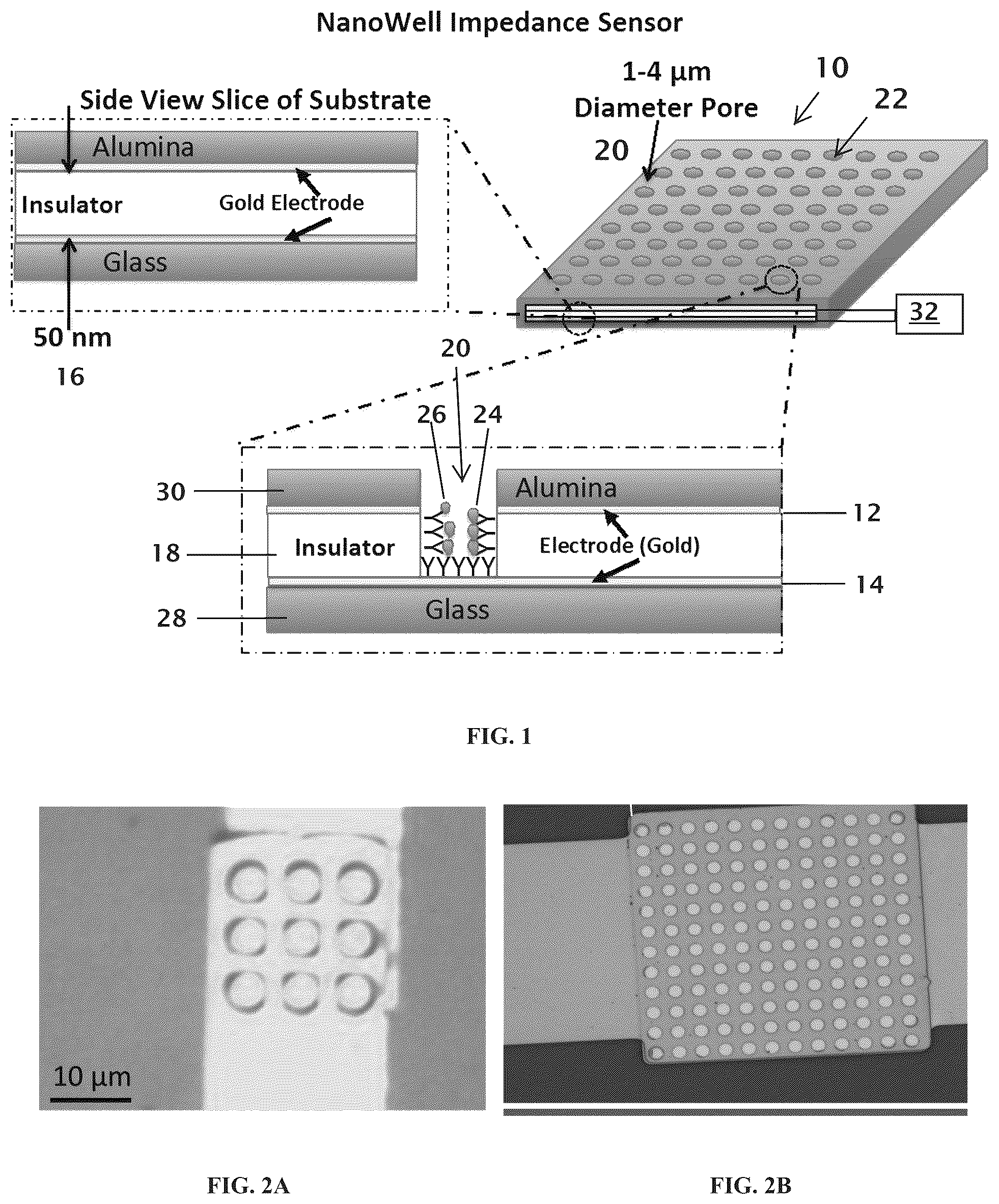 Patent US12097500 Figure 1 – Apparatus and methods for monitoring of biomarkers in blood
