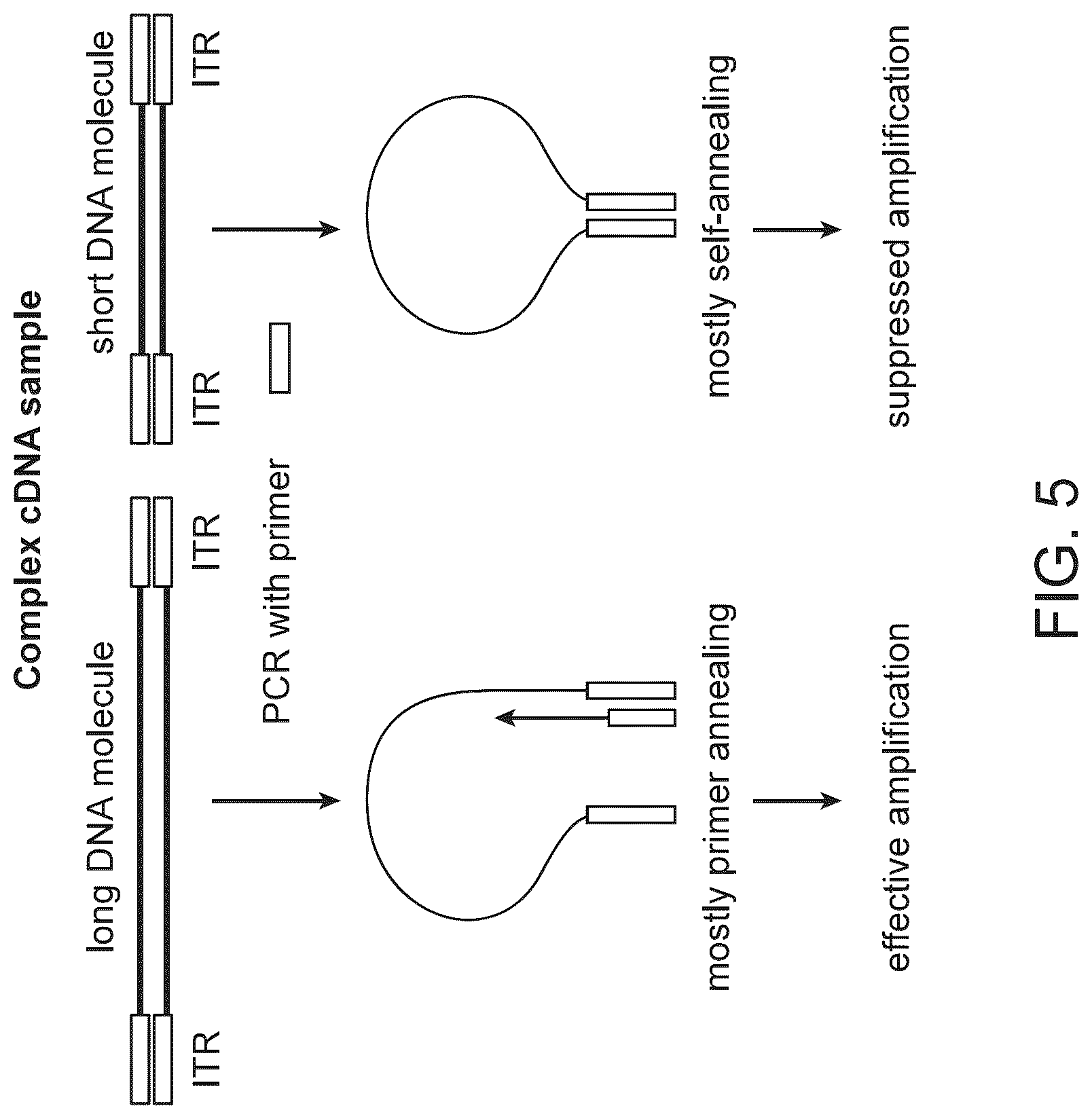Patent US12097501 Figure 5 – Parallelized sample processing and library prep