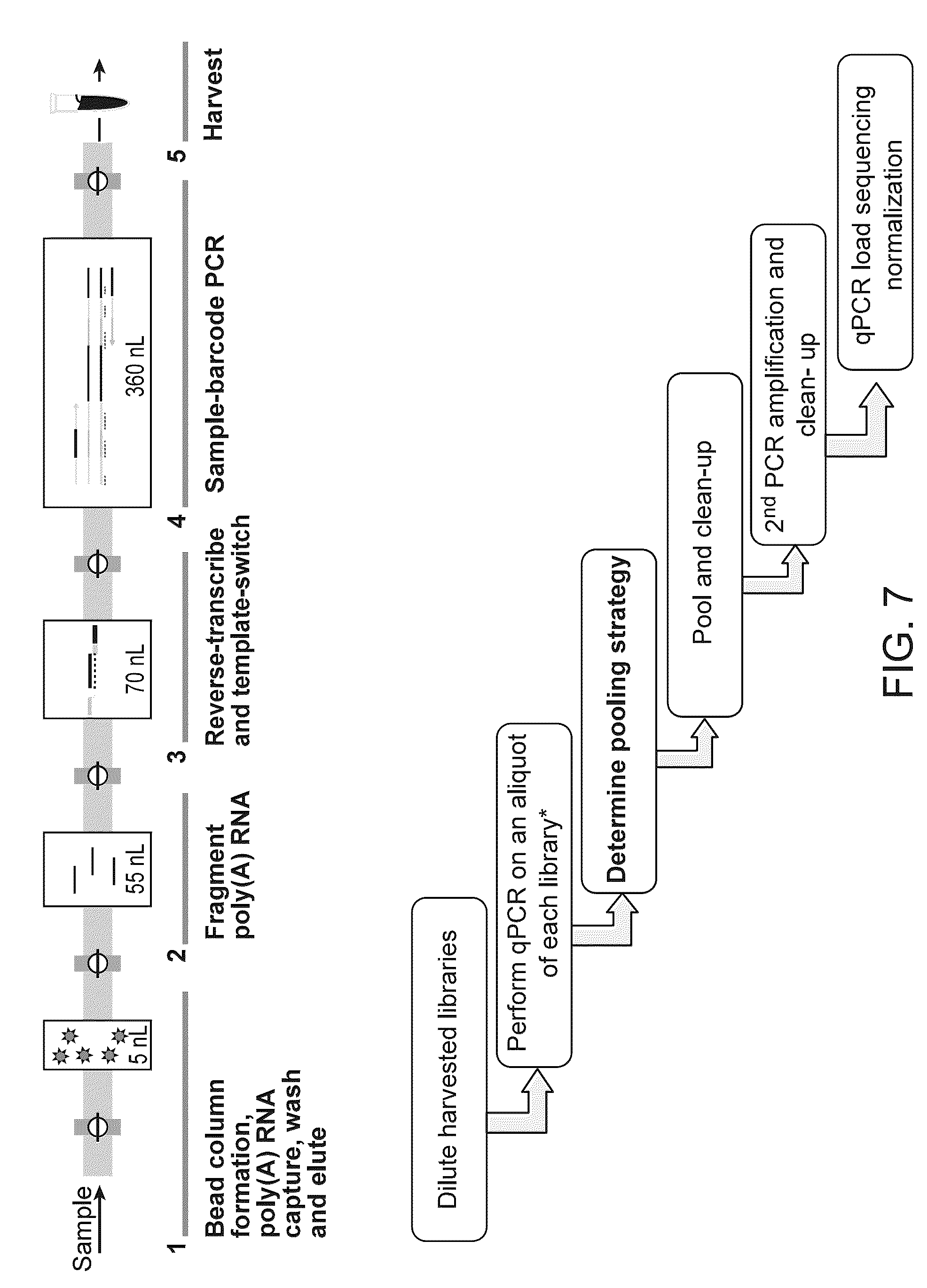 Patent US12097501 Figure 7 – Parallelized sample processing and library prep