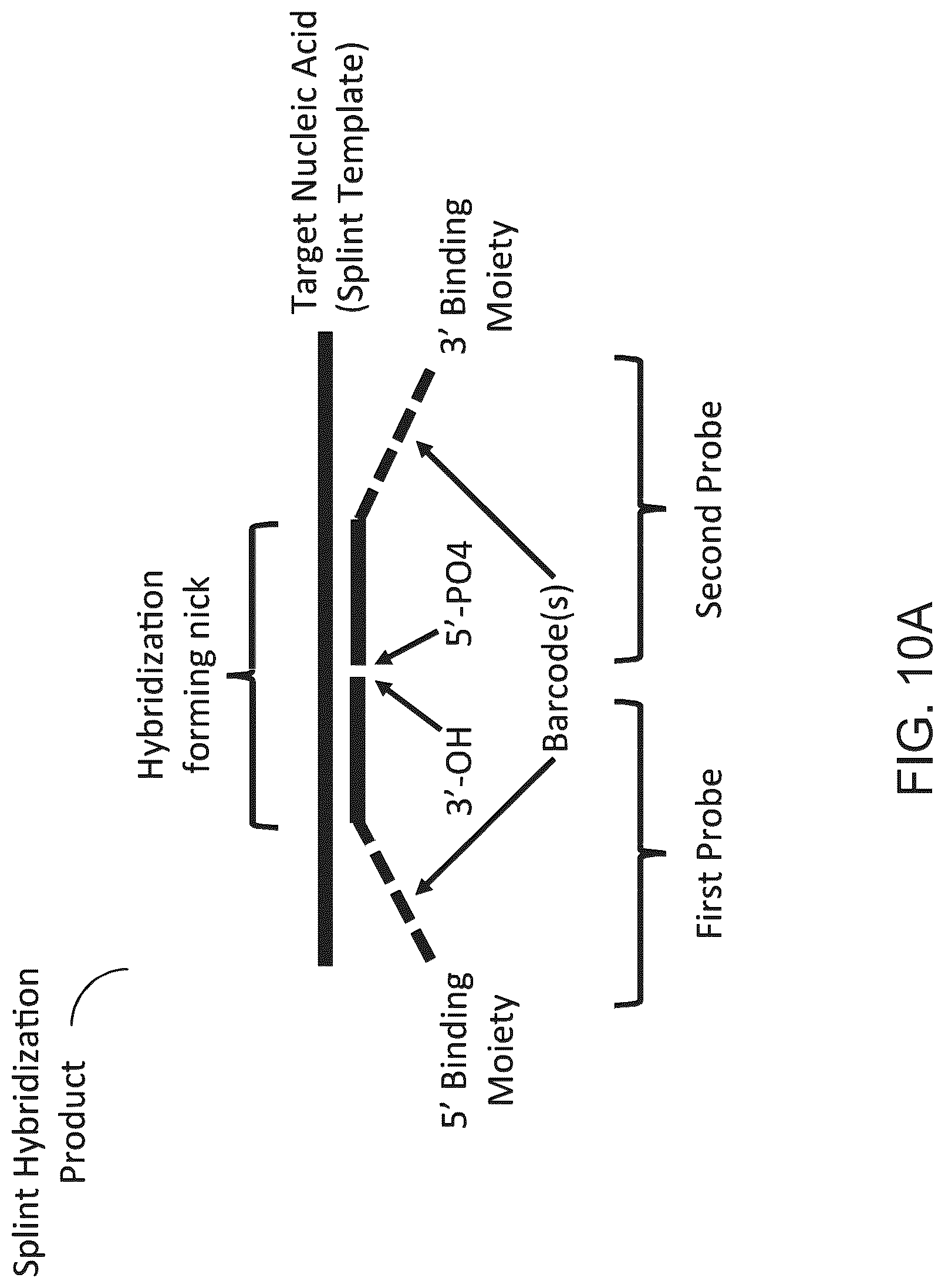 Patent US12097501 Figure 10 – Parallelized sample processing and library prep