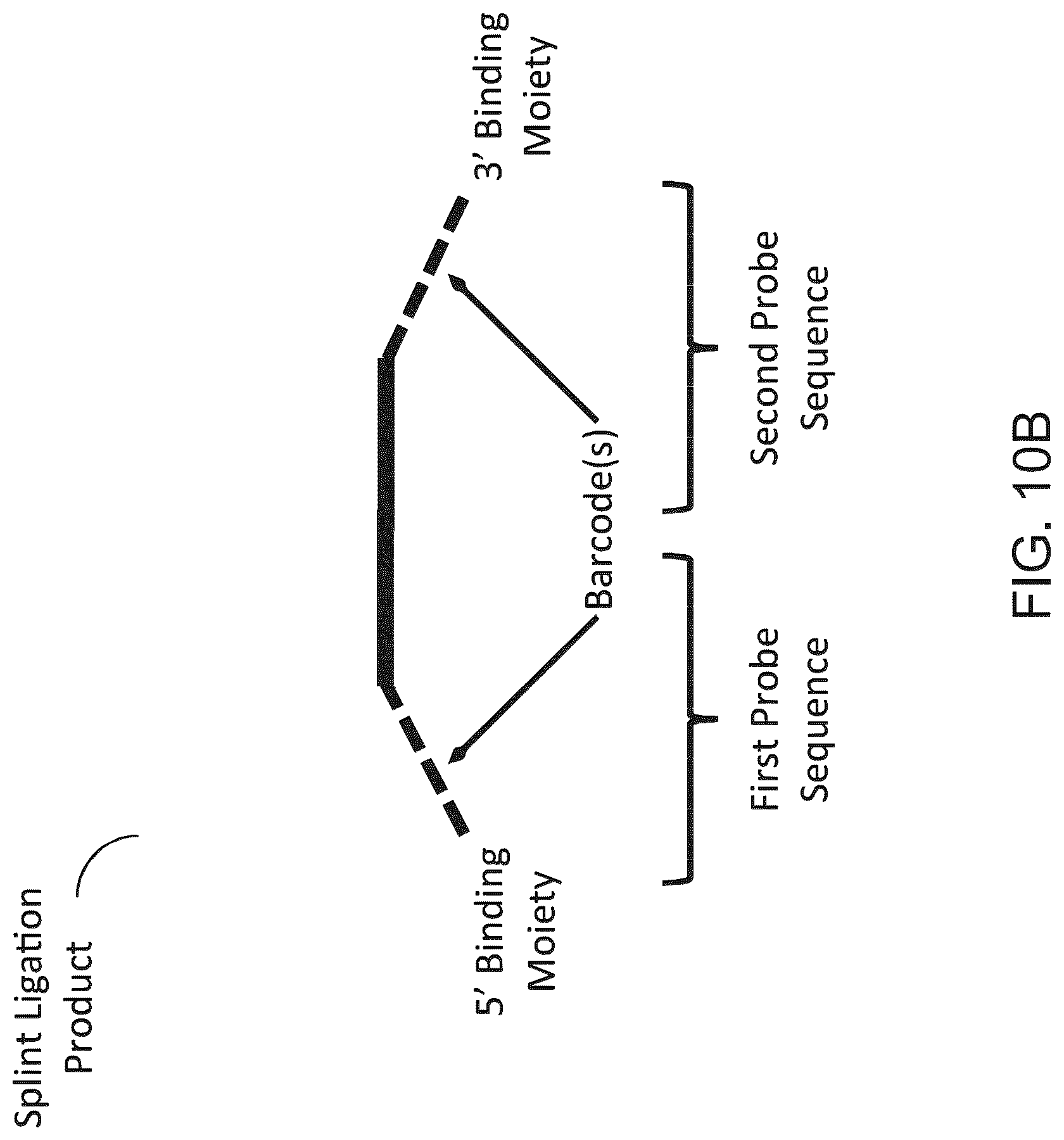 Patent US12097501 Figure 11 – Parallelized sample processing and library prep