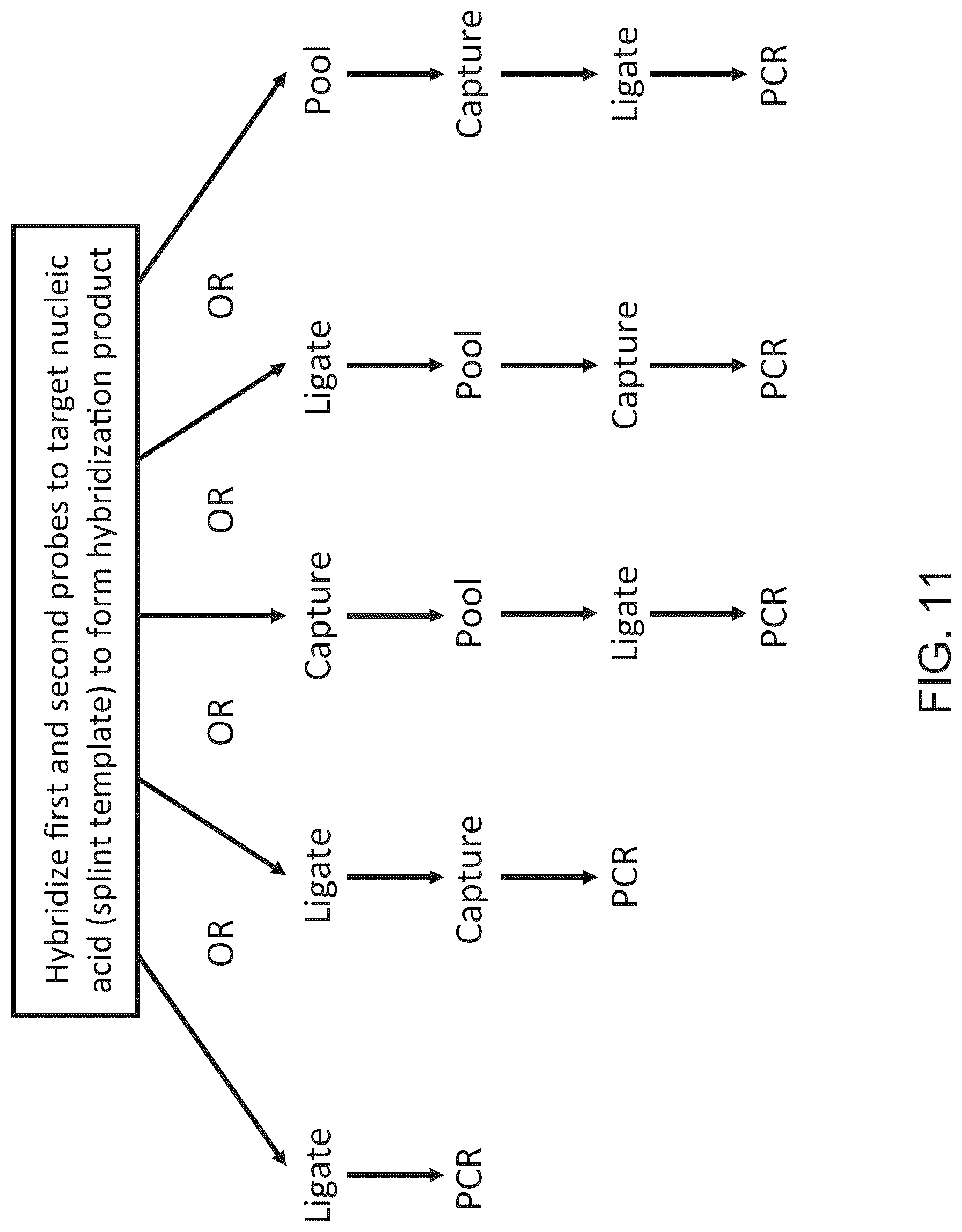Patent US12097501 Figure 12 – Parallelized sample processing and library prep