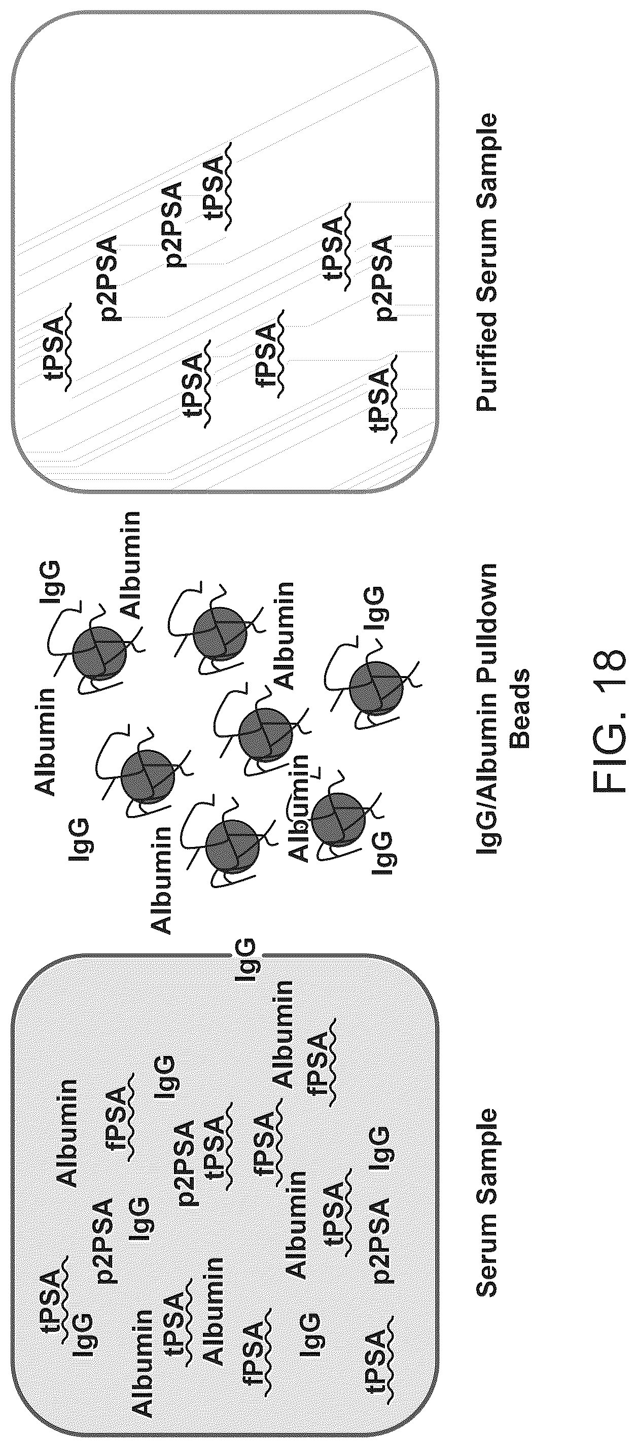 Patent US12097501 Figure 19 – Parallelized sample processing and library prep