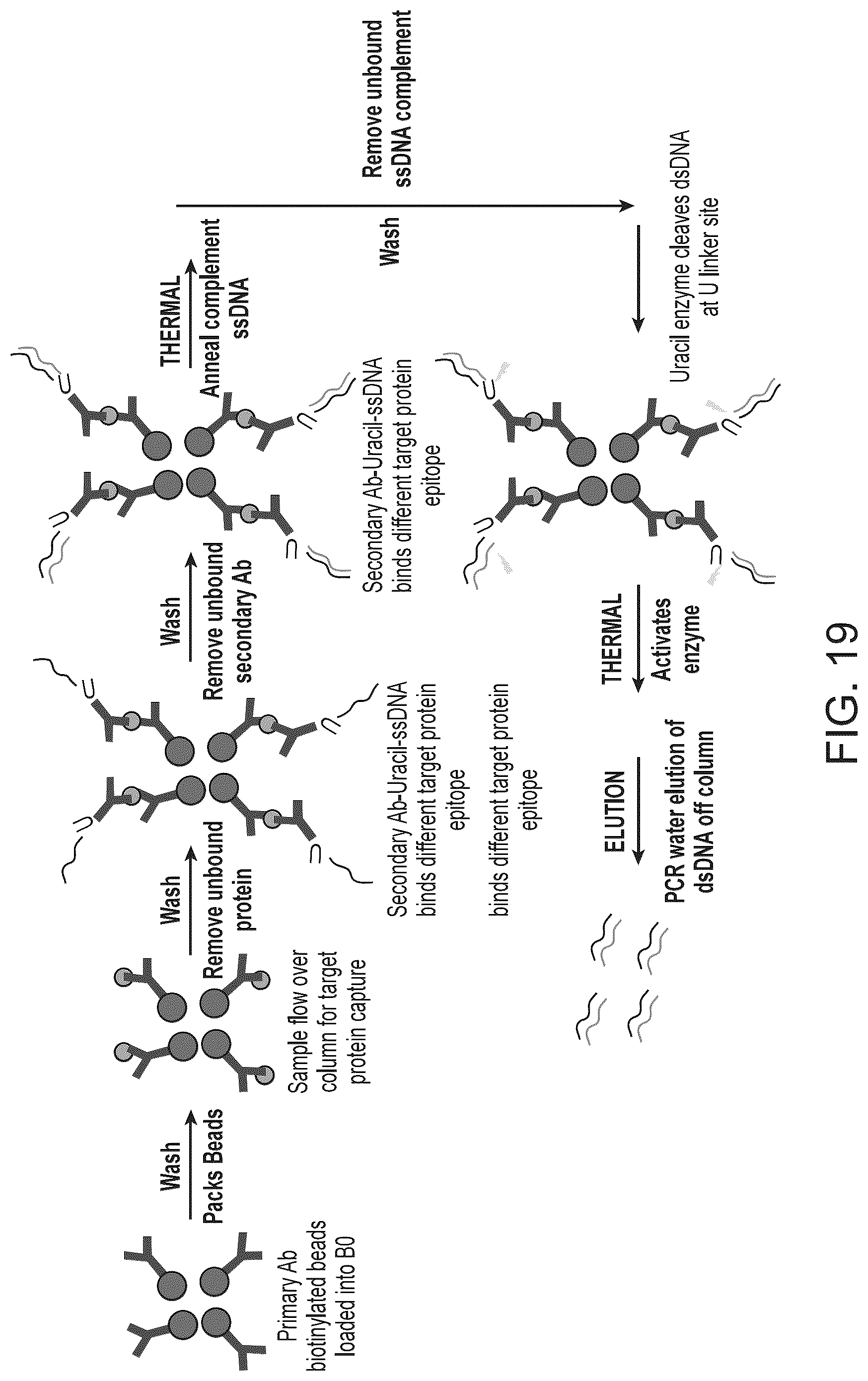 Patent US12097501 Figure 20 – Parallelized sample processing and library prep