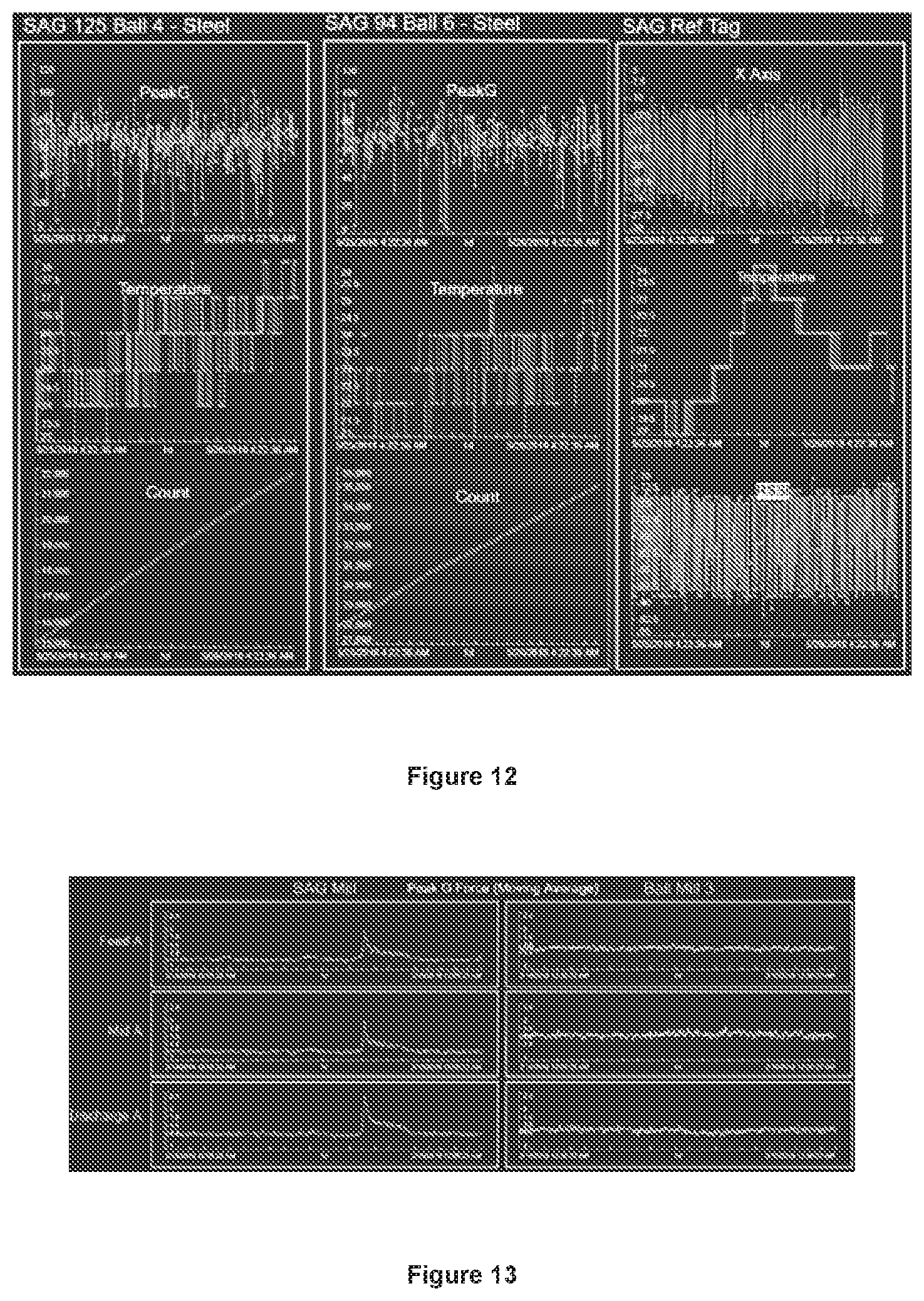 Patent US12097503 Figure 11 – Grinding media, system and method for optimising comminution circuit