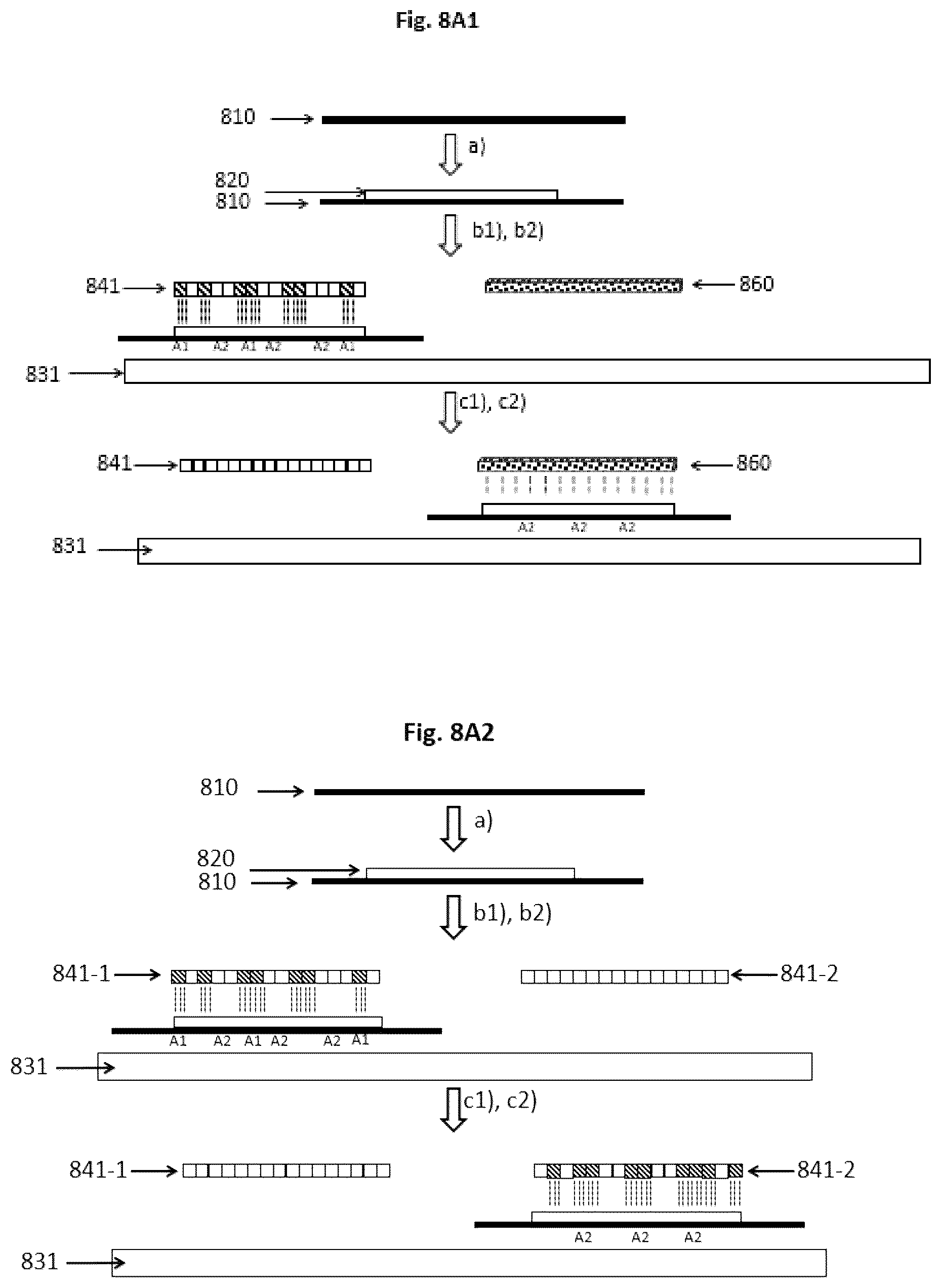 Patent US12097530 Figure 9 – Device for producing optical effect layers