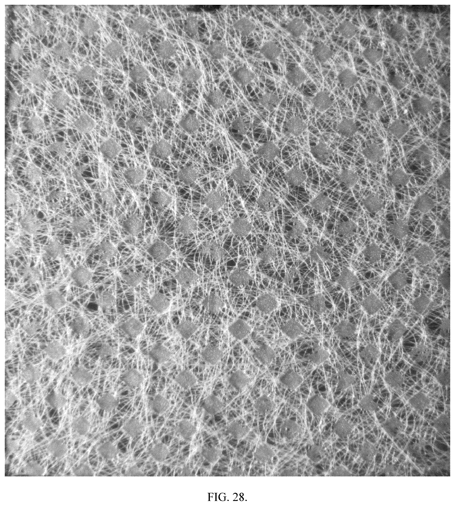 Patent US12097531 Figure 18 – Antislip flexible materials and methods for their making and use