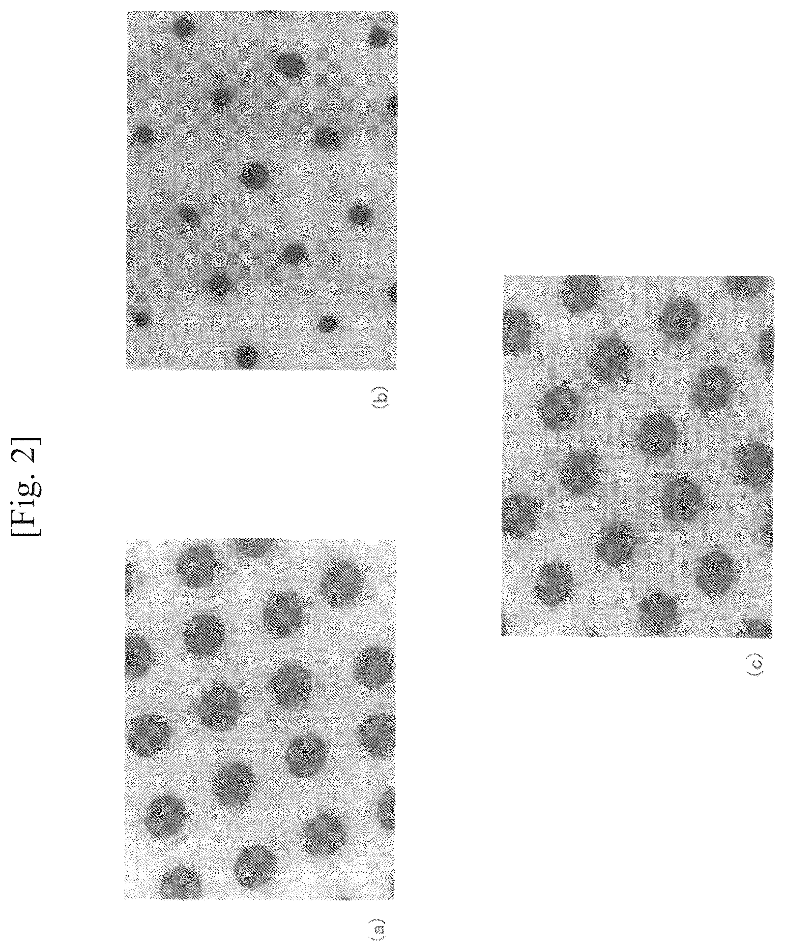 Patent US12097718 Figure 2 – Printed substrate and method for printing onto a substrate