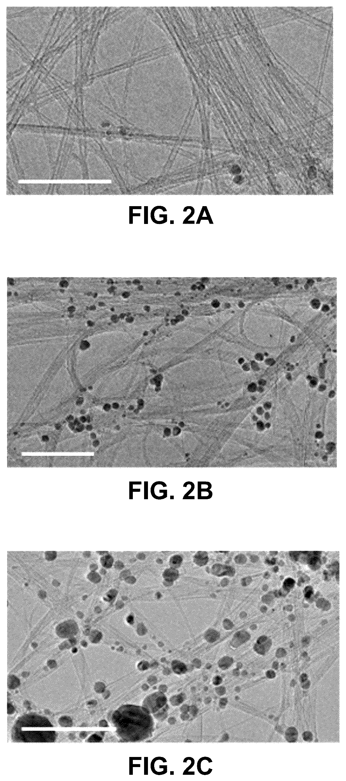 Patent US12098074 Figure 2 – Systems and methods of making carbon nanotubes