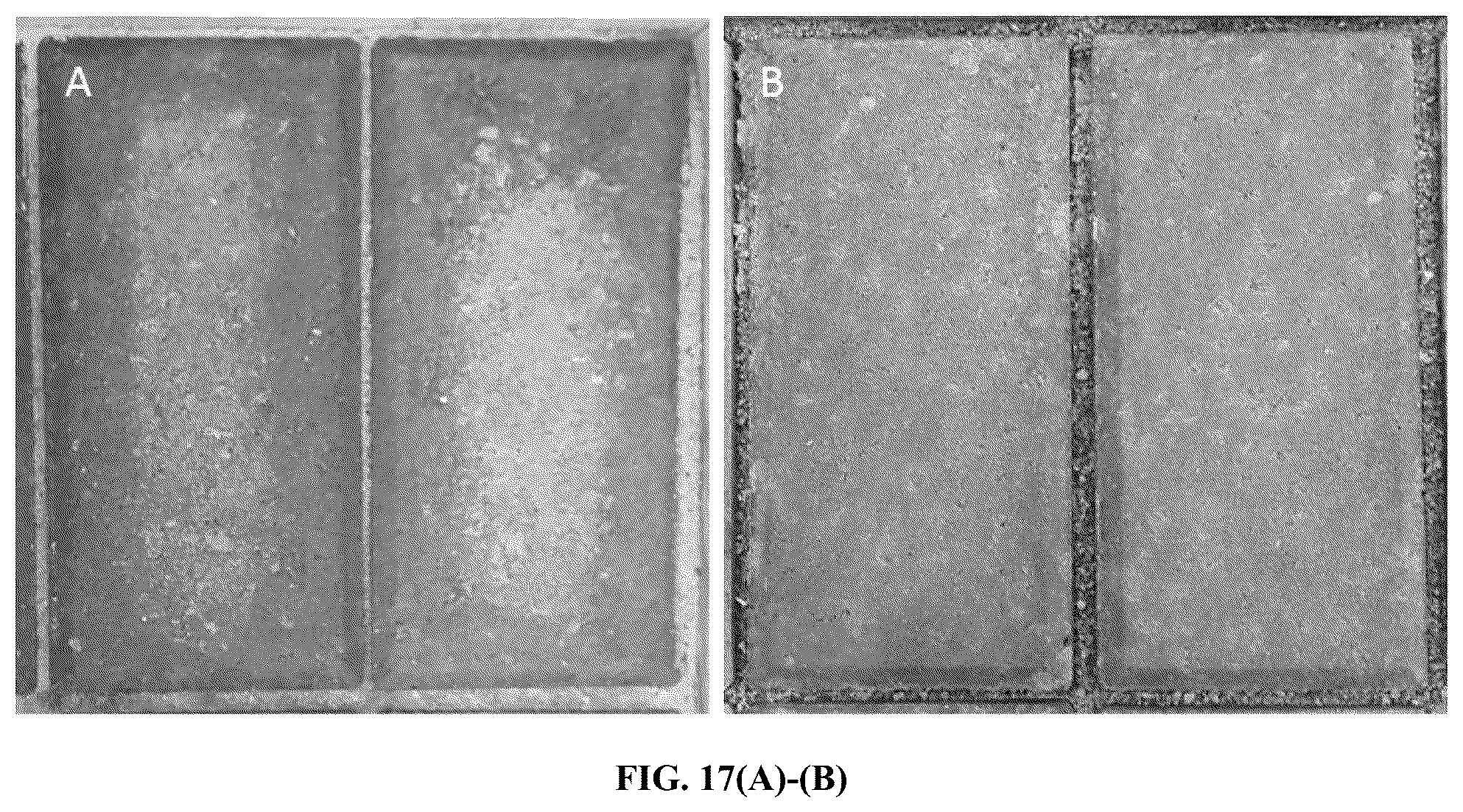 Patent US12098104 Figure 15 – Carbonatable calcium silicate-based cements and concretes having mineral additives, and methods thereof