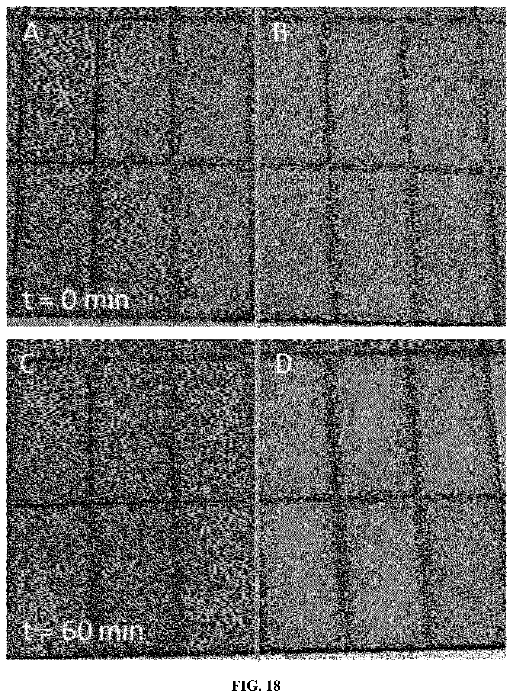 Patent US12098104 Figure 16 – Carbonatable calcium silicate-based cements and concretes having mineral additives, and methods thereof