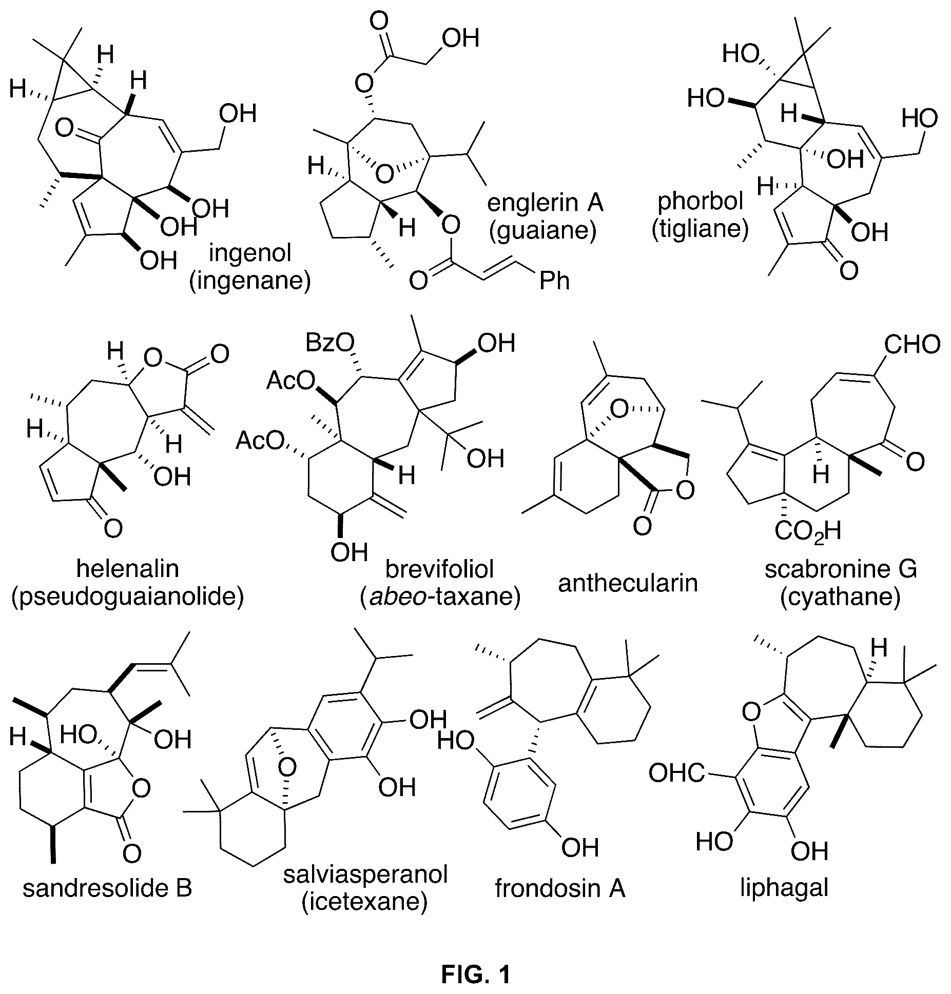 Patent US12098115 Figure 1 – Methods and compositions for terpenoid synthesis