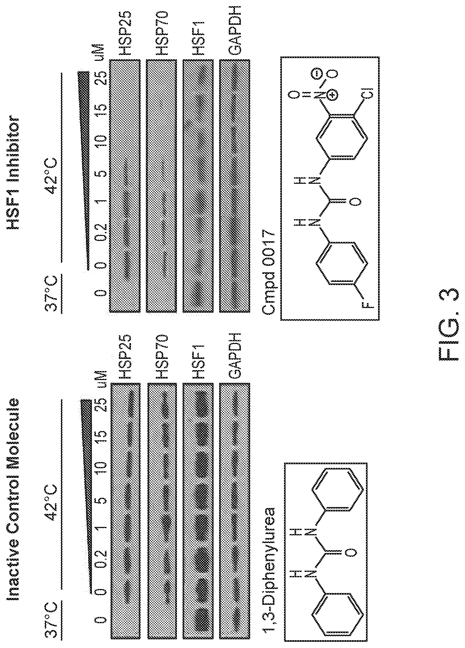 Patent US12098117 Figure 2 – Compositions and methods for the treatment of cancer