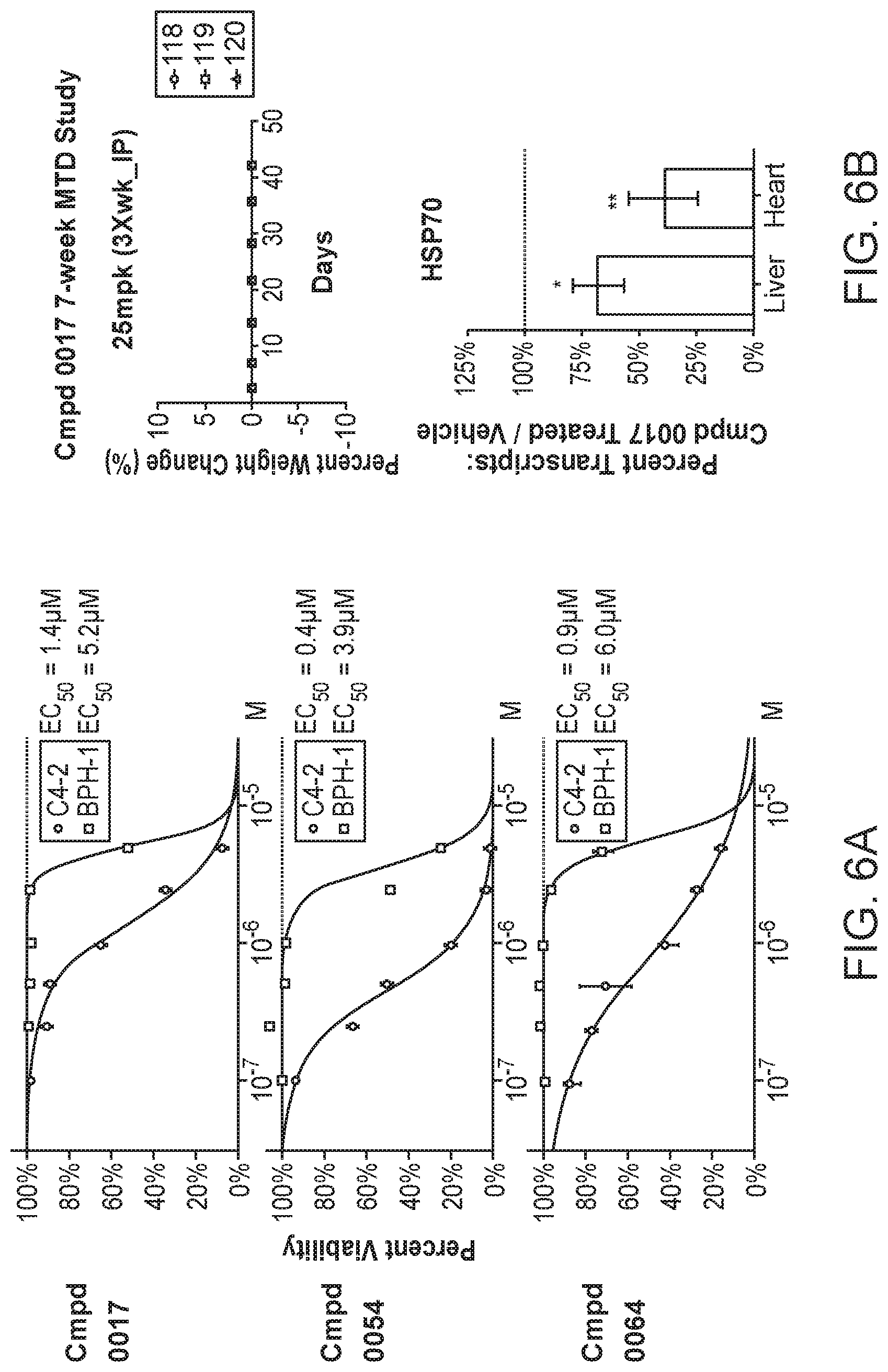 Patent US12098117 Figure 5 – Compositions and methods for the treatment of cancer