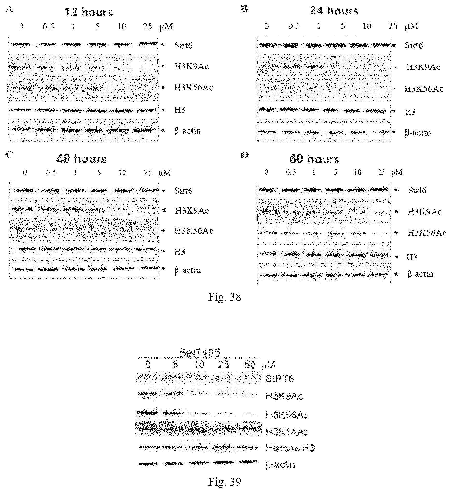Patent US12098119 Figure 20 – Compound used as SIRT6 small-molecule allosteric activator and pharmaceutical composition thereof