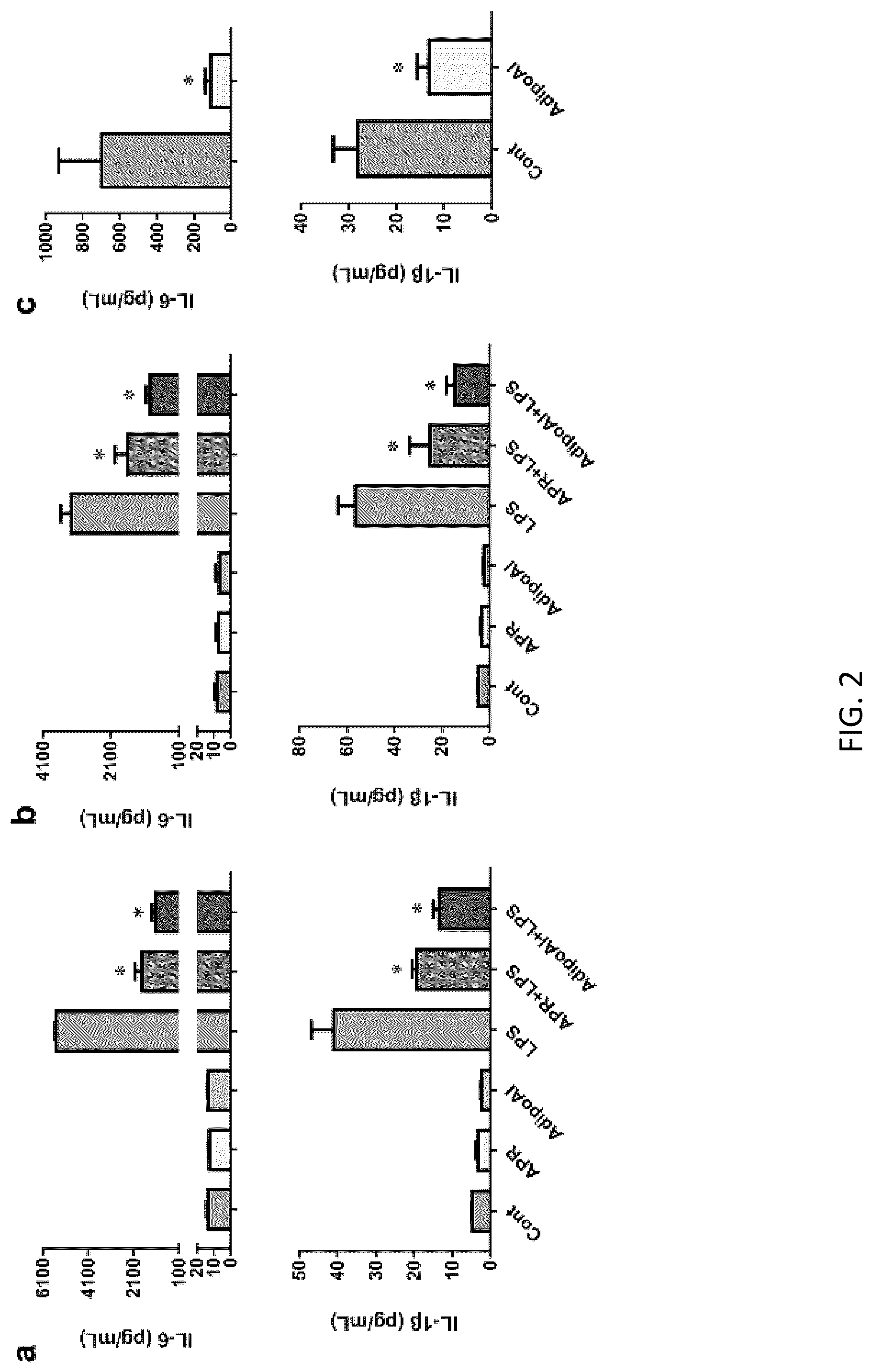 Patent US12098131 Figure 5 – Using adiponectin receptor agonists to treat inflammation and bone diseases in diabetes