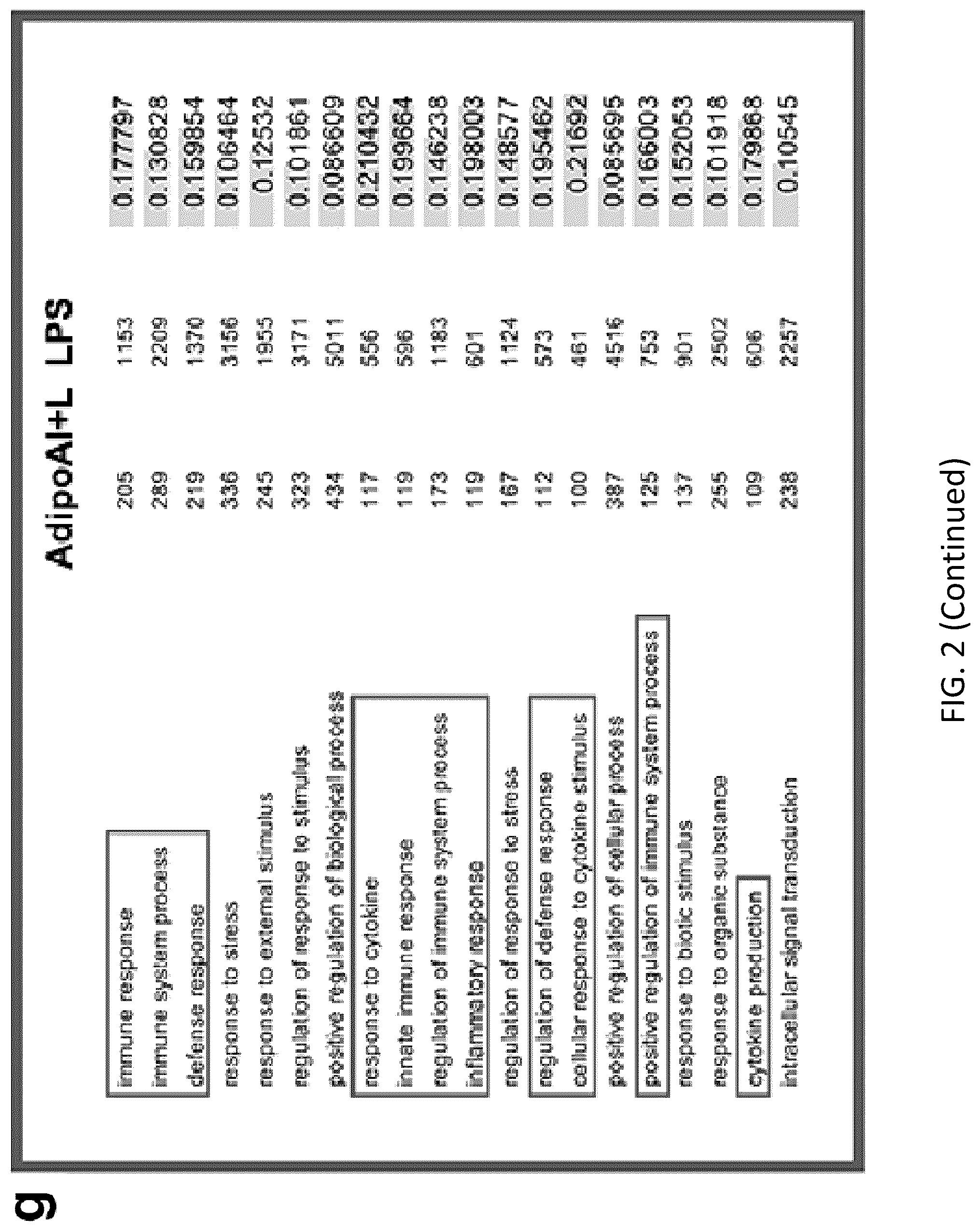 Patent US12098131 Figure 12 – Using adiponectin receptor agonists to treat inflammation and bone diseases in diabetes